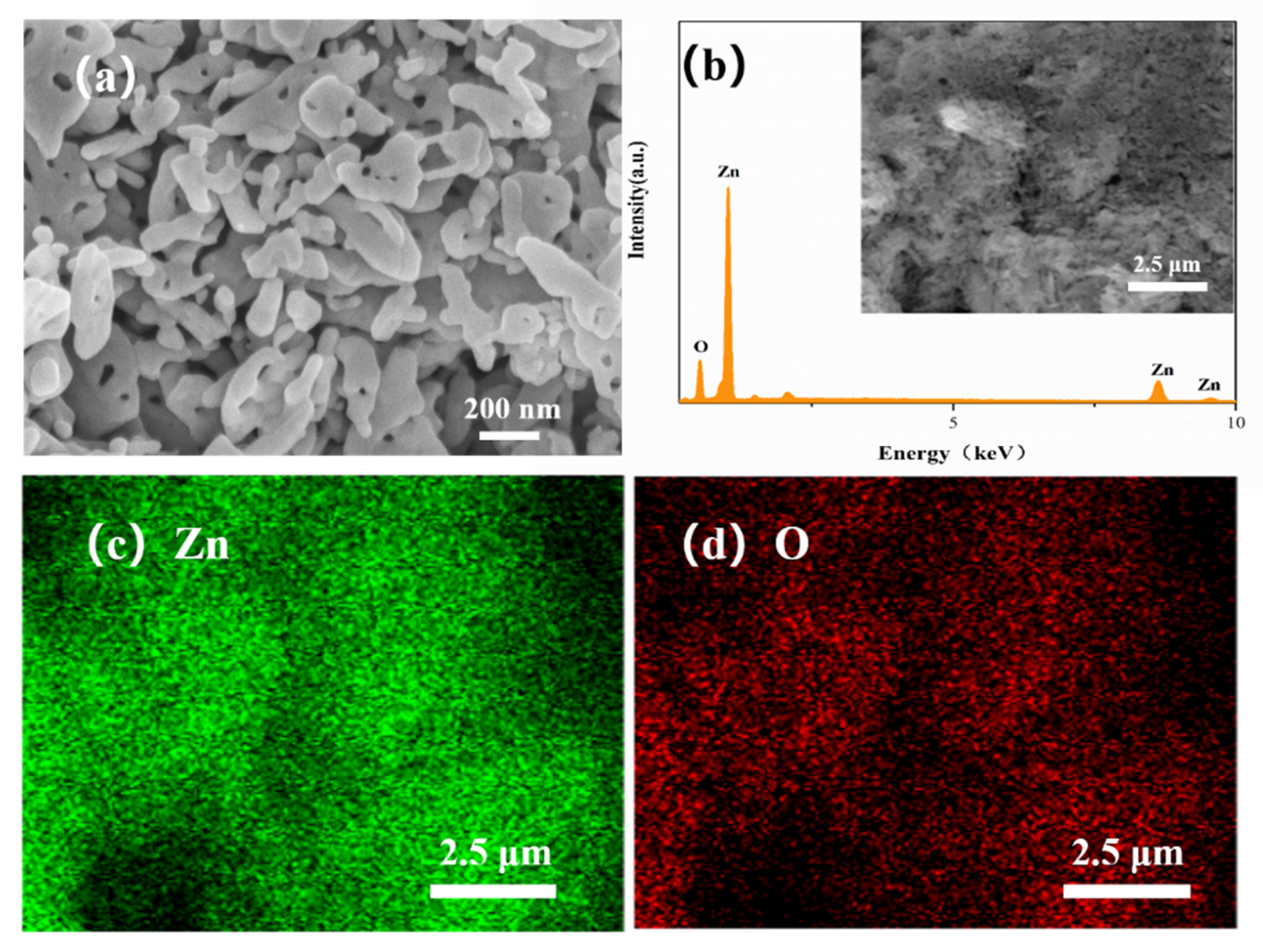 Sensors 21 04069 g004
