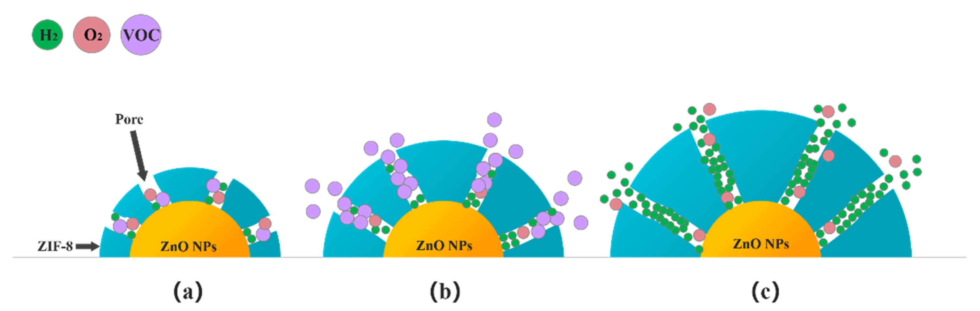 Sensors 21 04069 g016