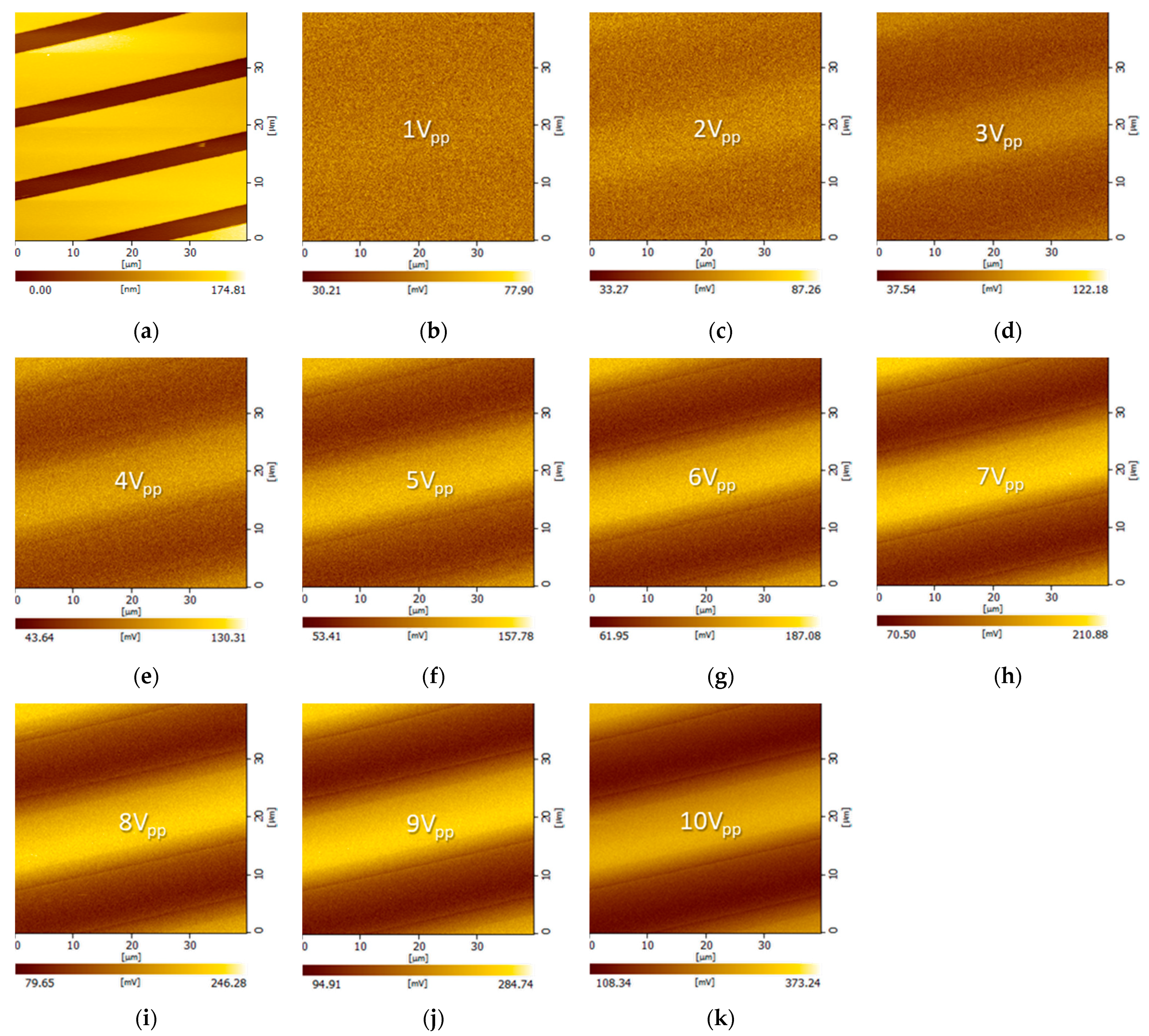 Sensors 21 04073 g006