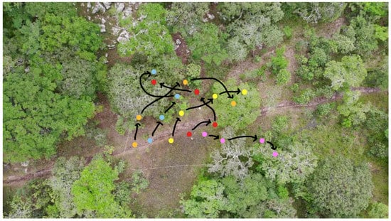 Sensors 21 04074 g0a1