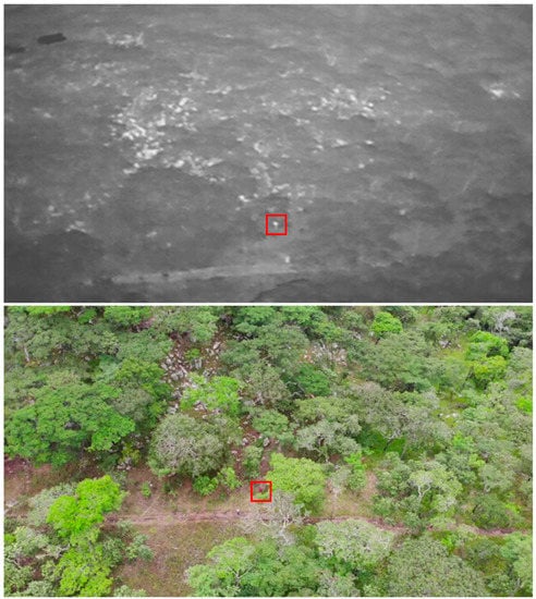 Sensors 21 04074 g0a4