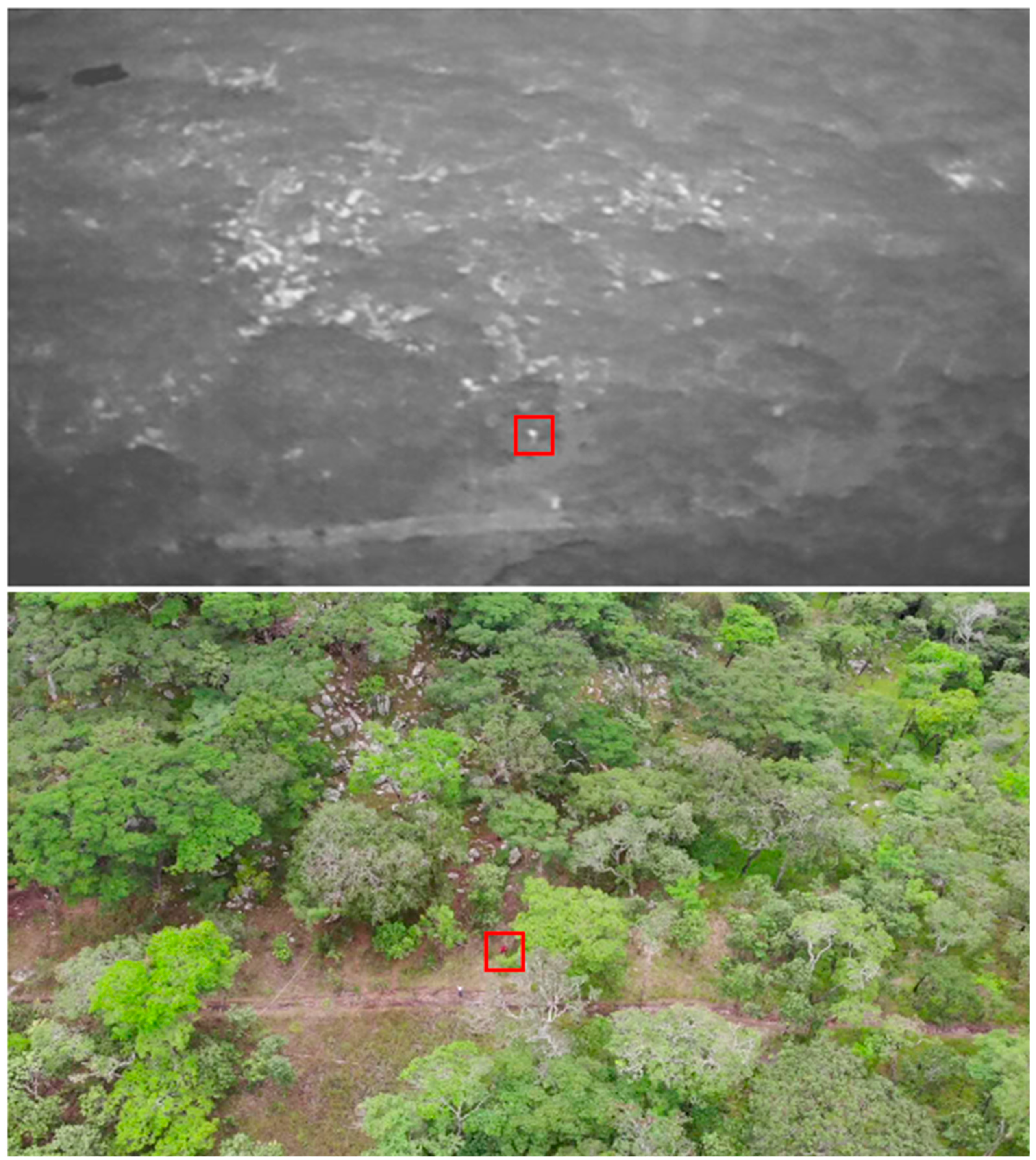 Sensors 21 04074 g0a4