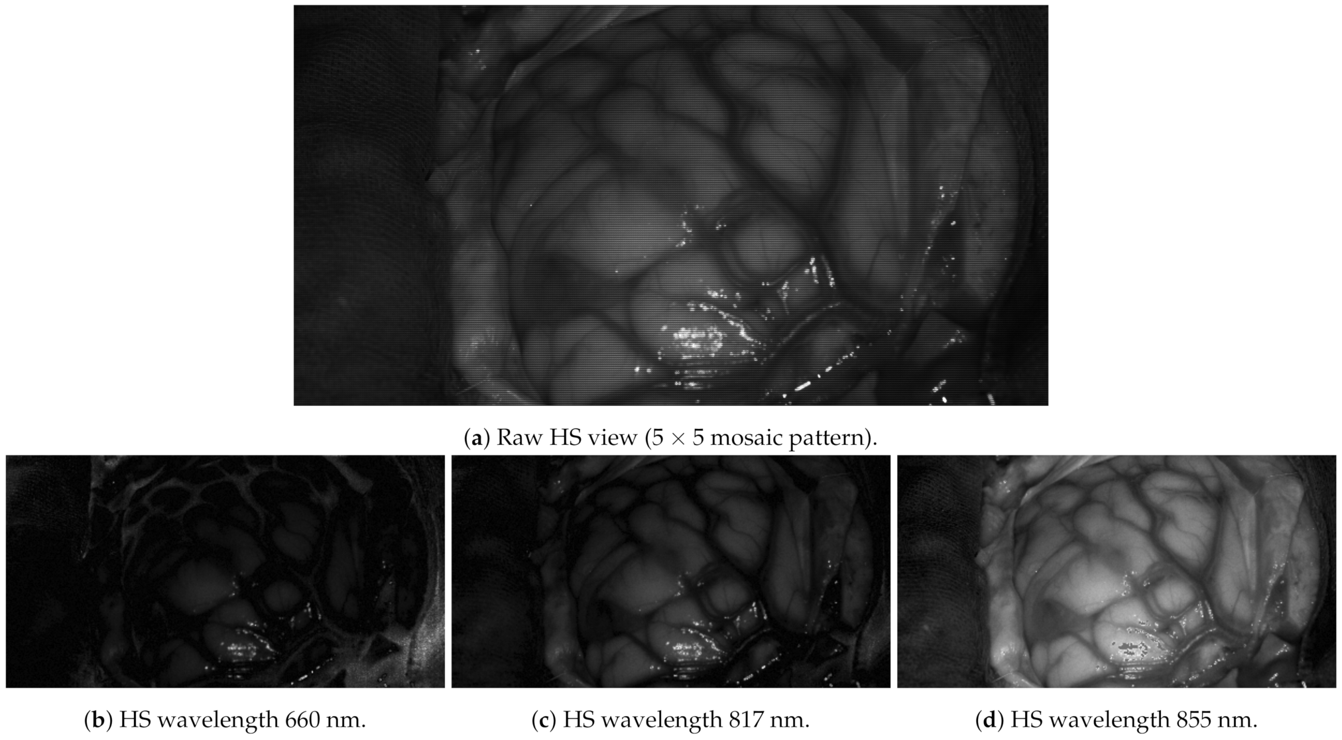 Sensors 21 04091 g014 Sensors 21 04091 g014