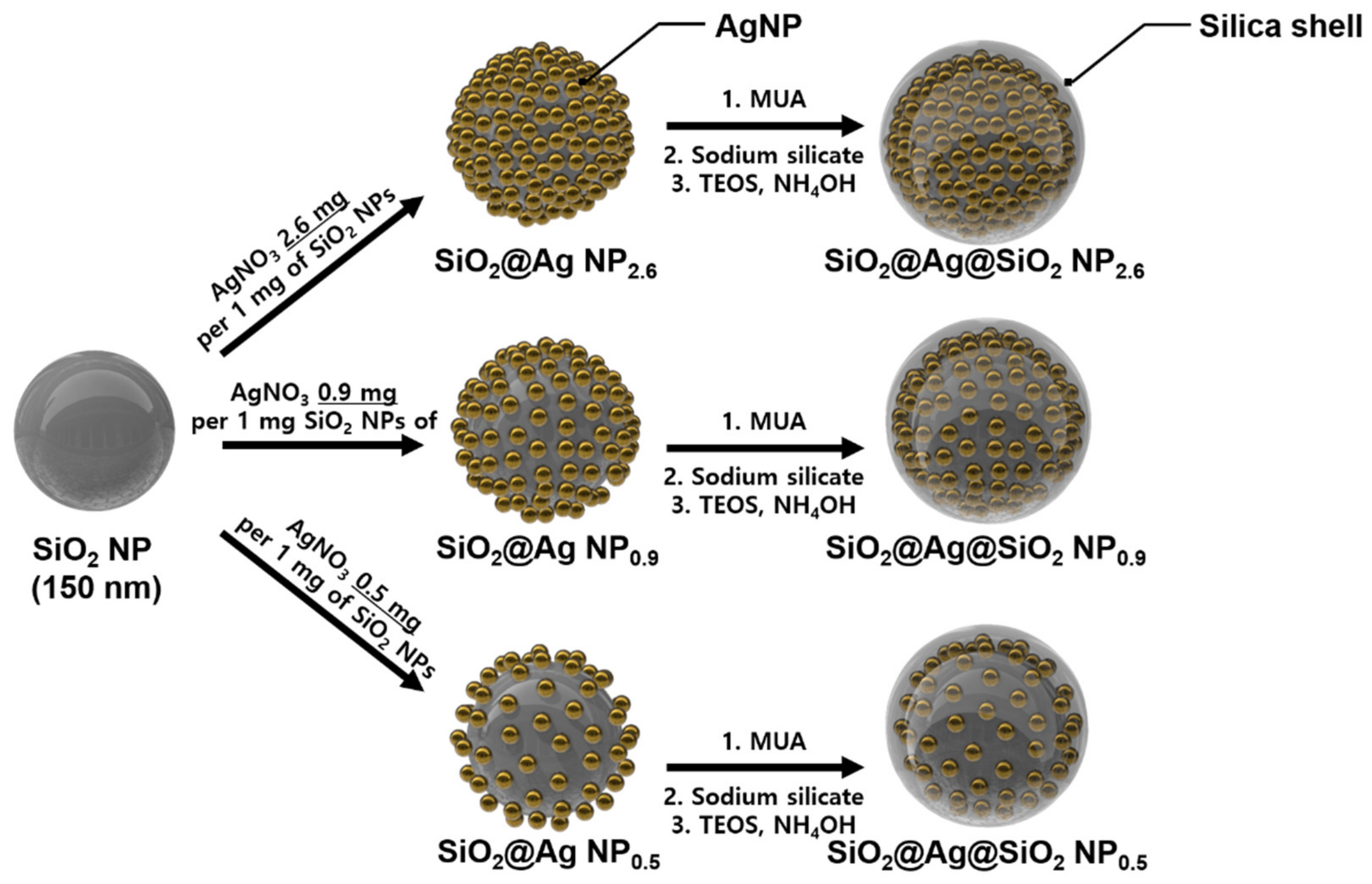 Sensors 21 04099 g001