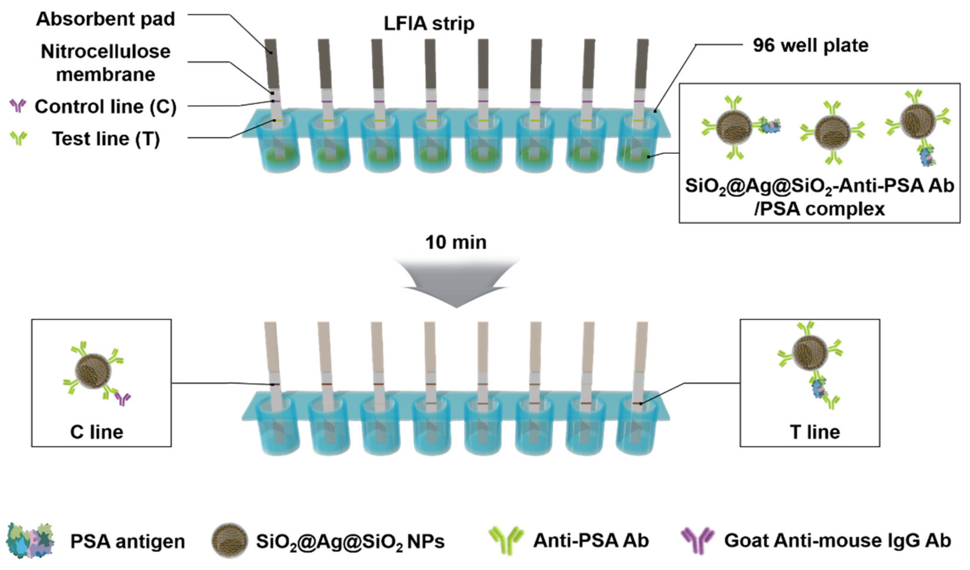 Sensors 21 04099 g004