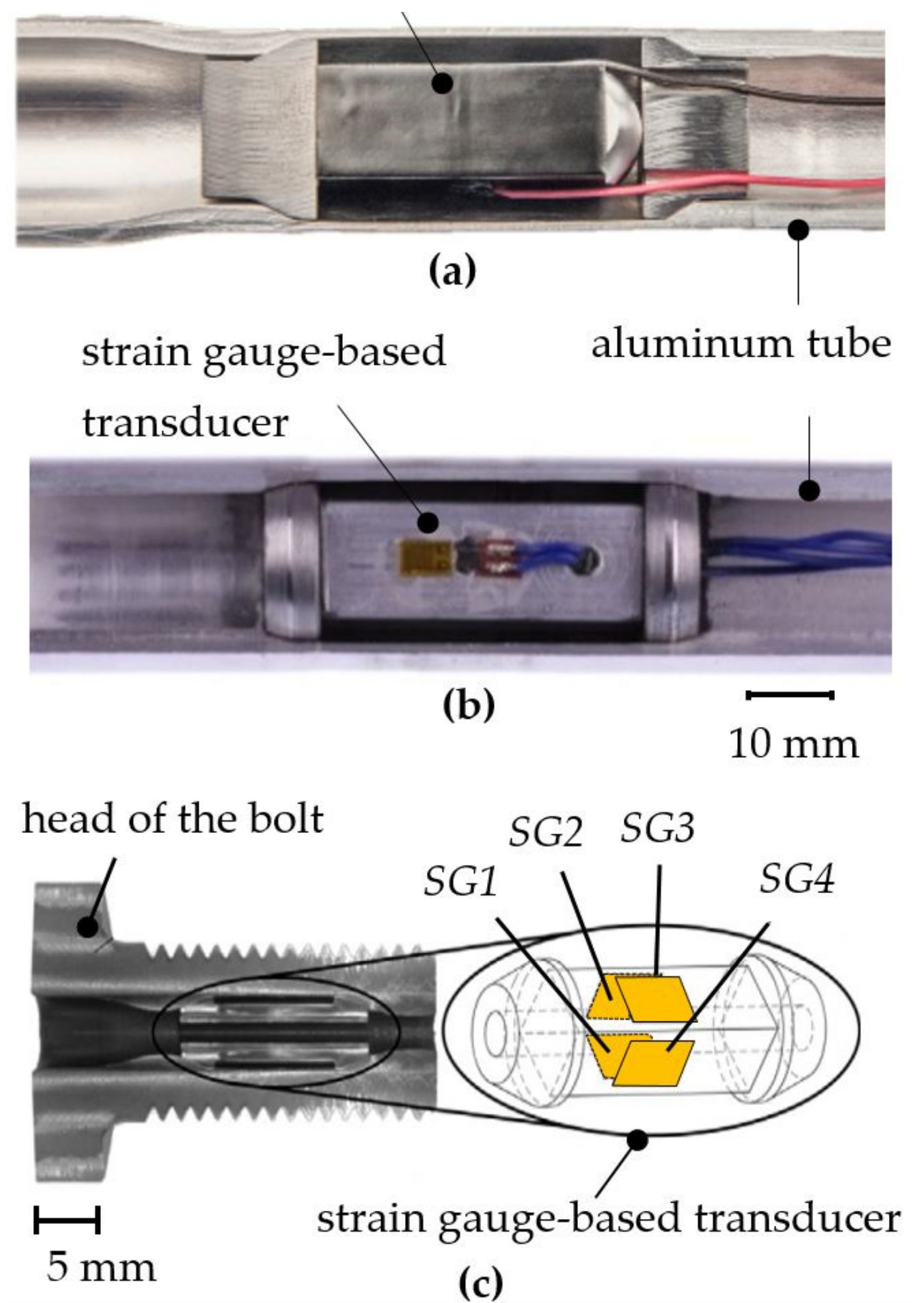 Sensors 21 04104 g001