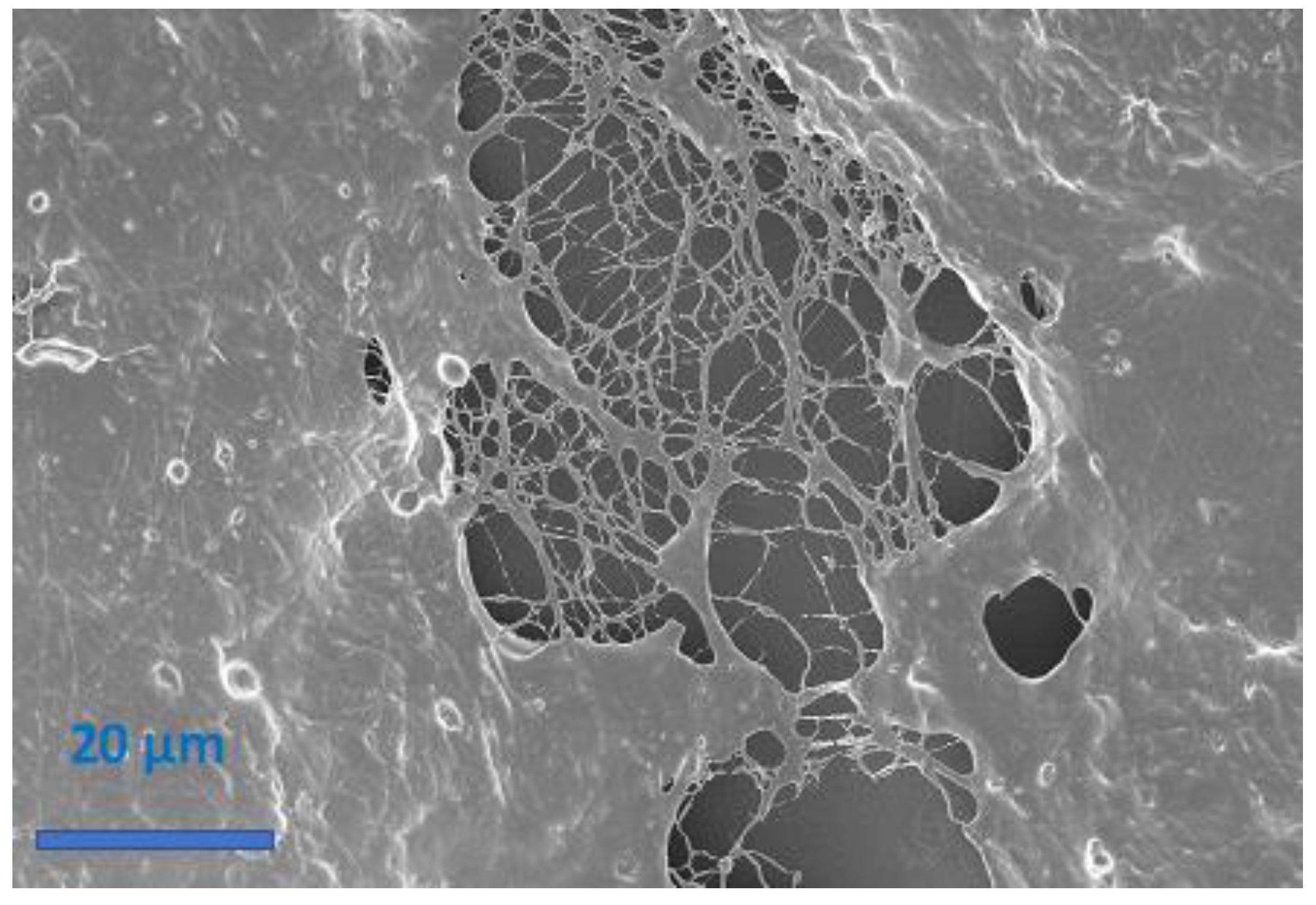Sensors 21 04110 g006