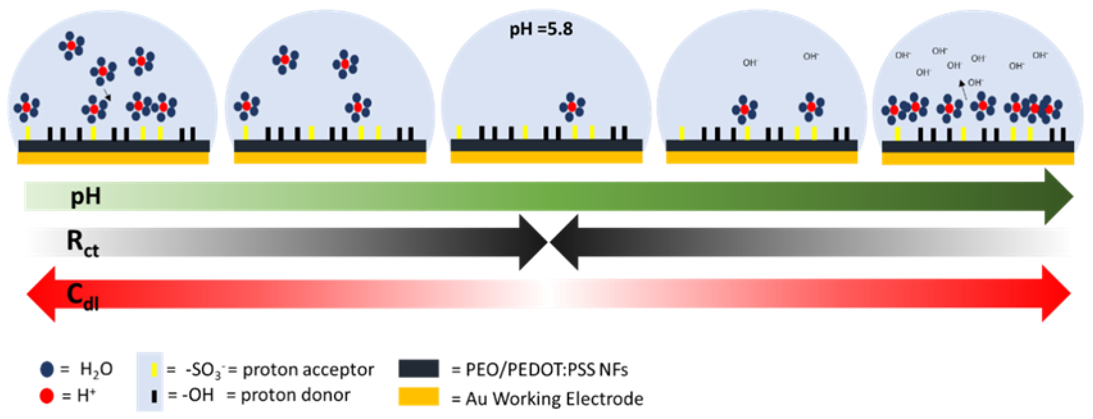 Sensors 21 04110 g008