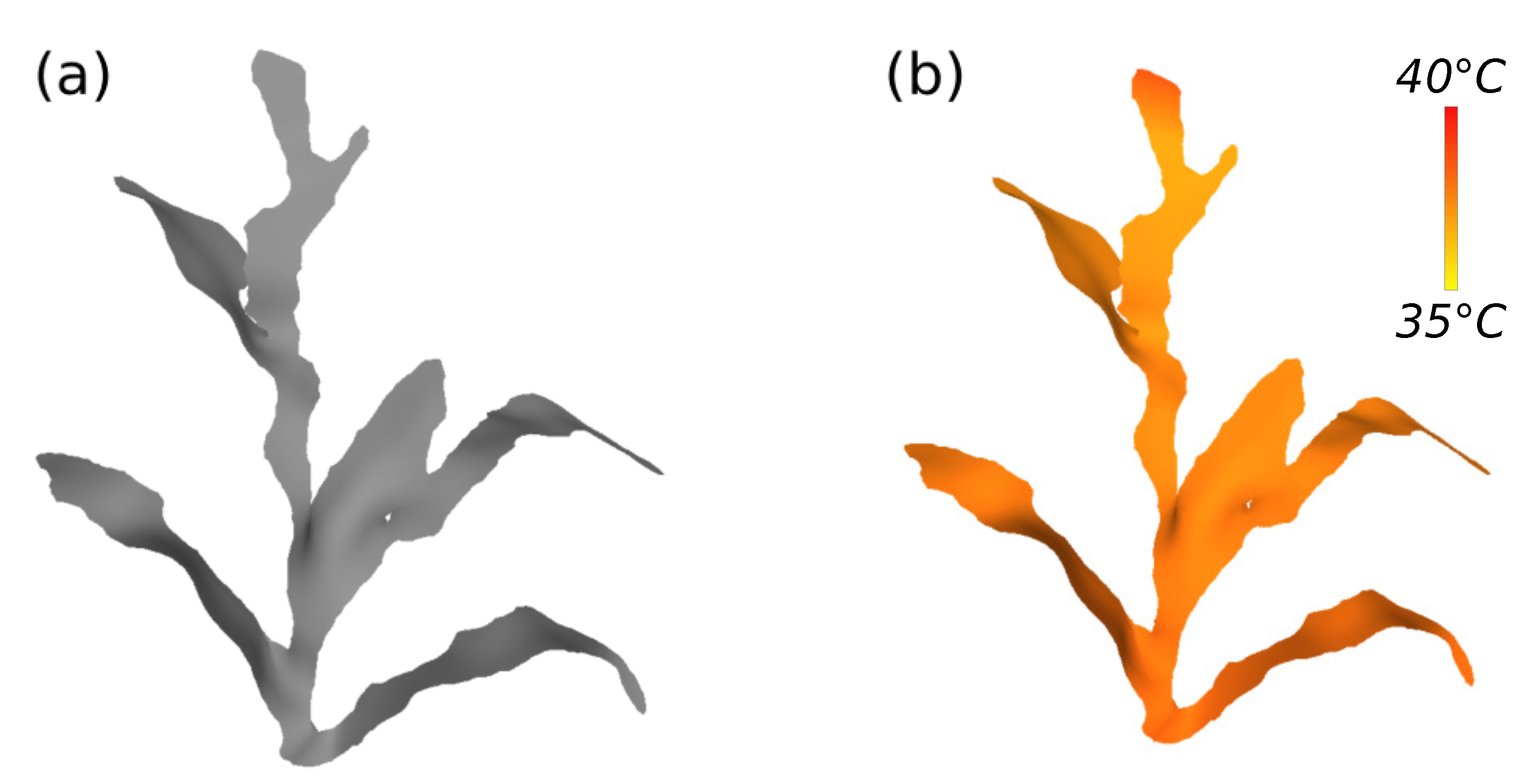 Sensors 21 04115 g014