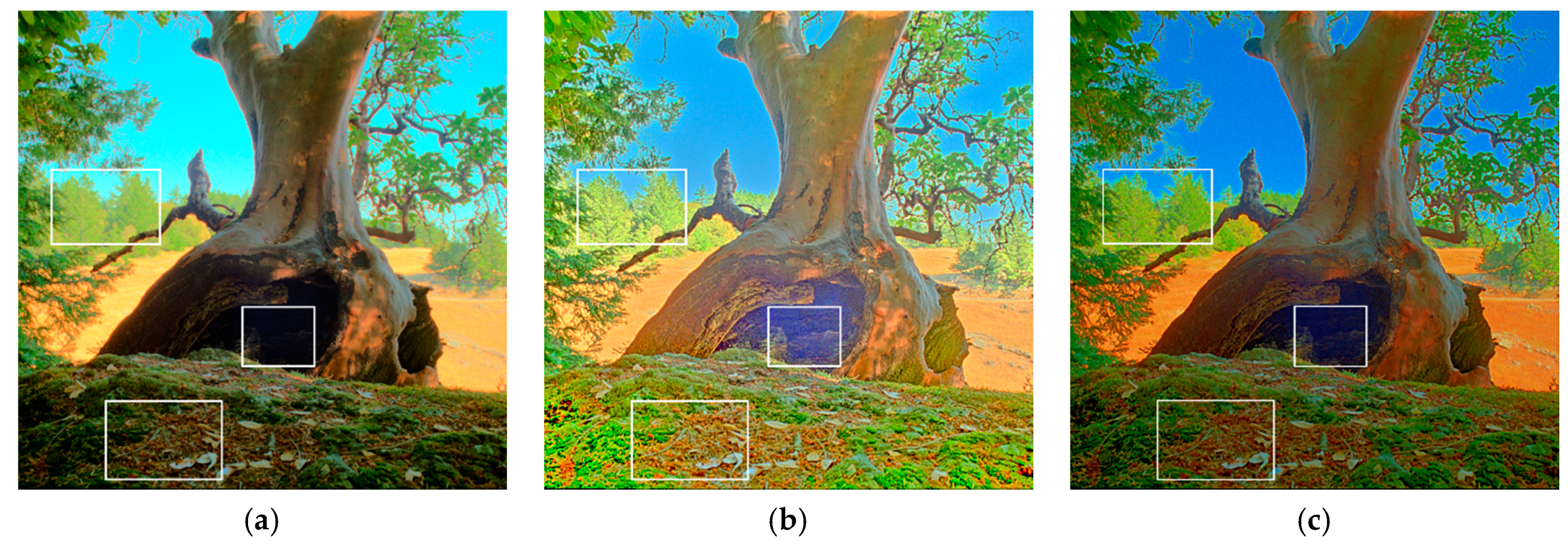 Sensors 21 04136 g010a