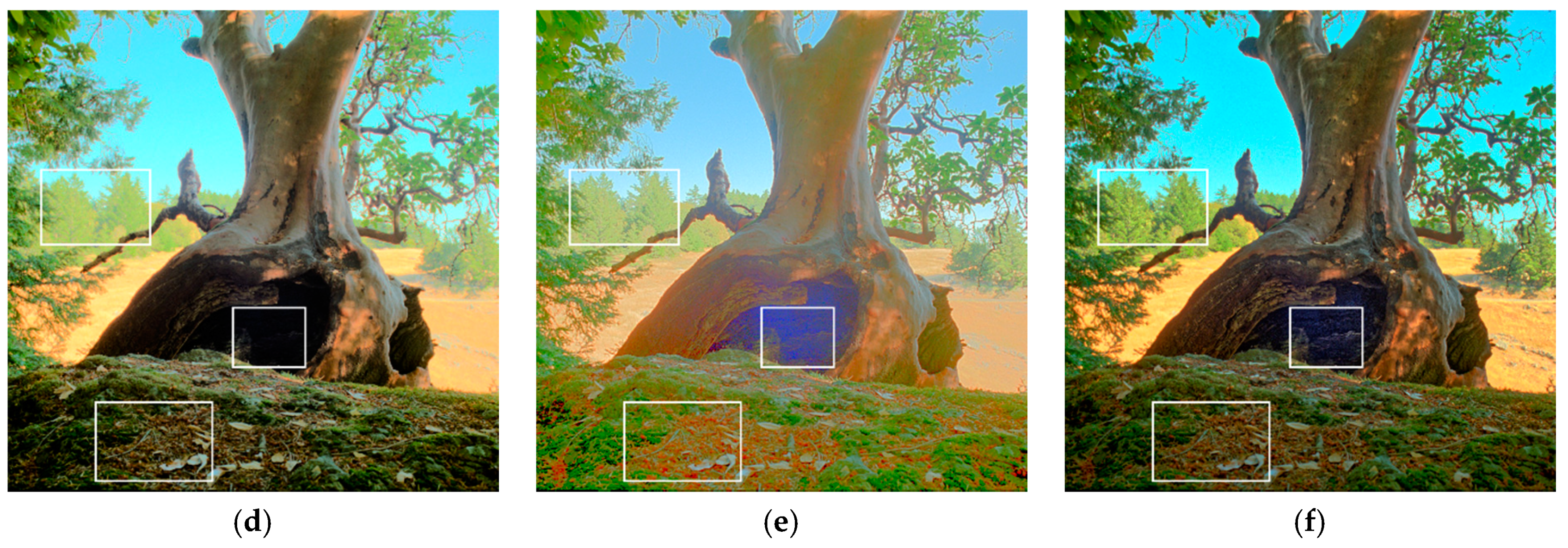 Sensors 21 04136 g010b