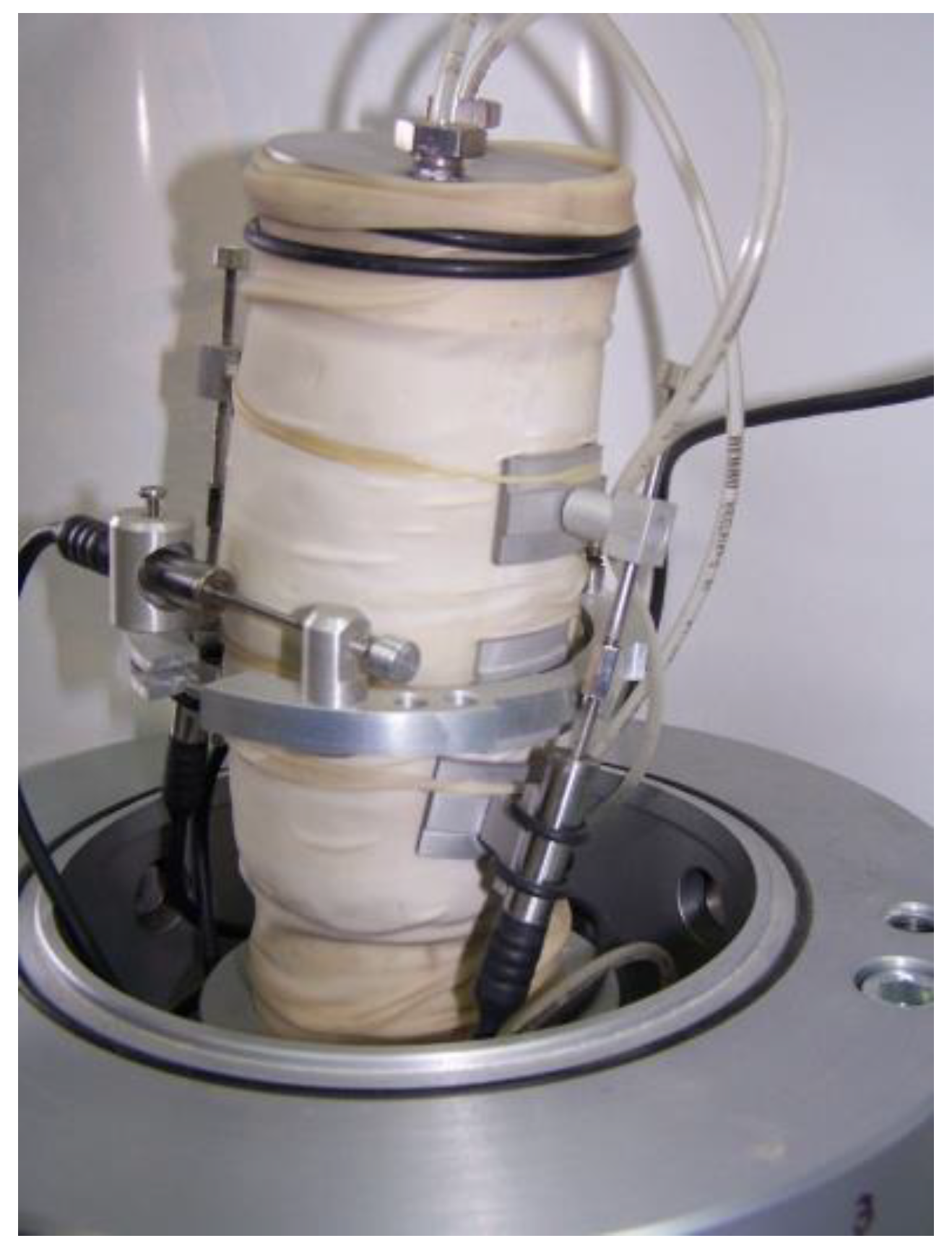 Sensors 21 04139 g005 Sensors 21 04139 g005