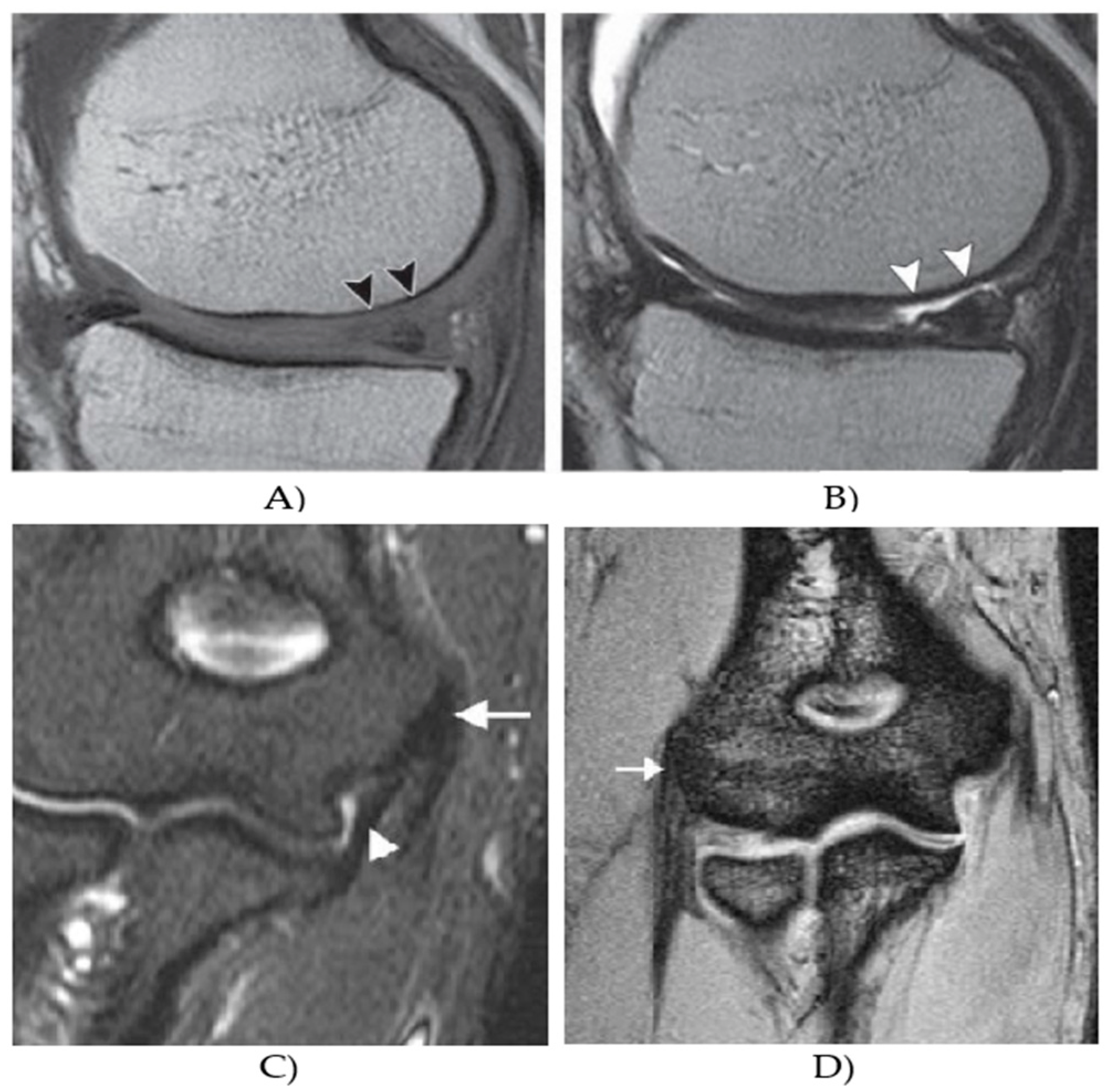 Sensors 21 04161 g001 Sensors 21 04161 g001