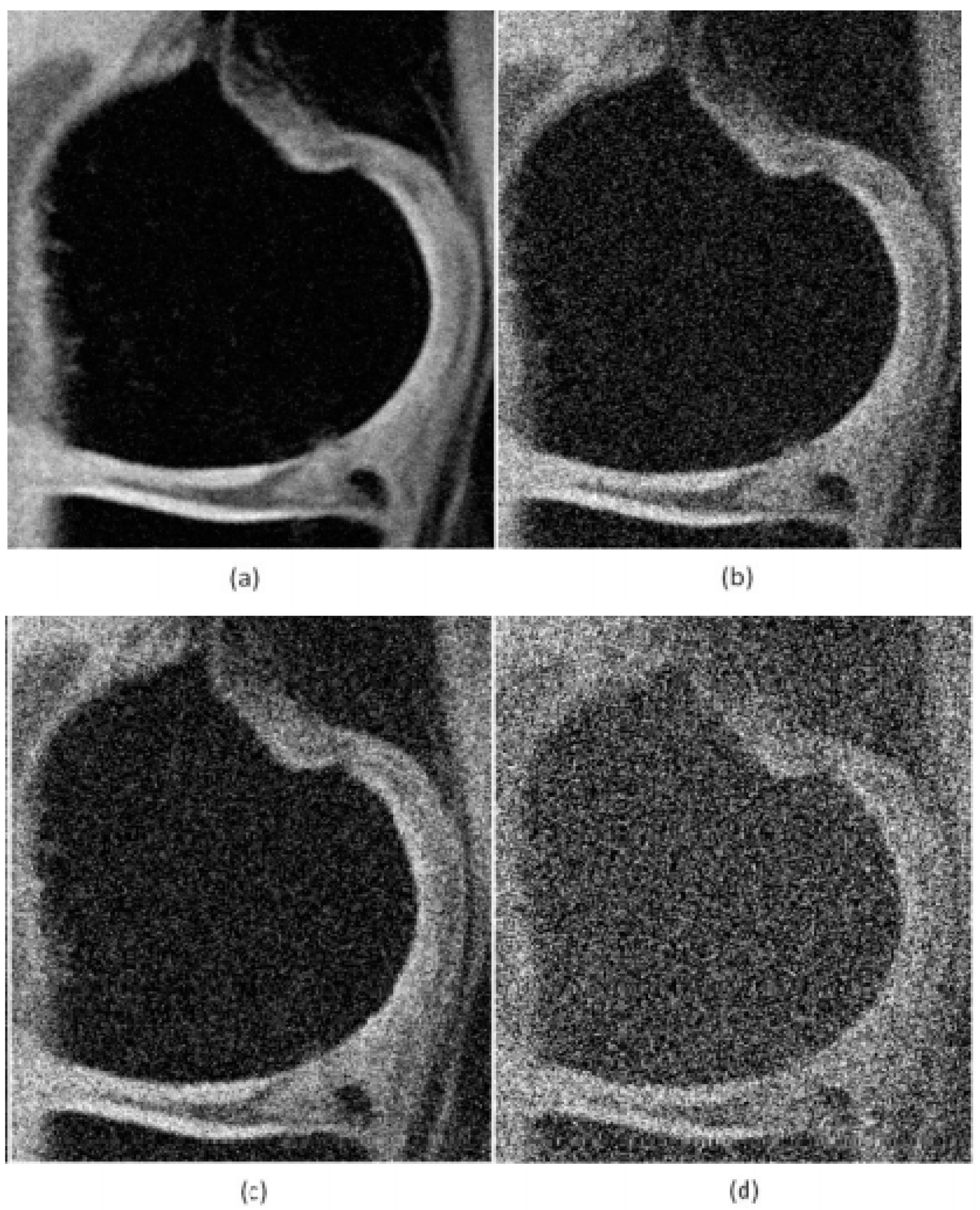 Sensors 21 04161 g003 Sensors 21 04161 g003