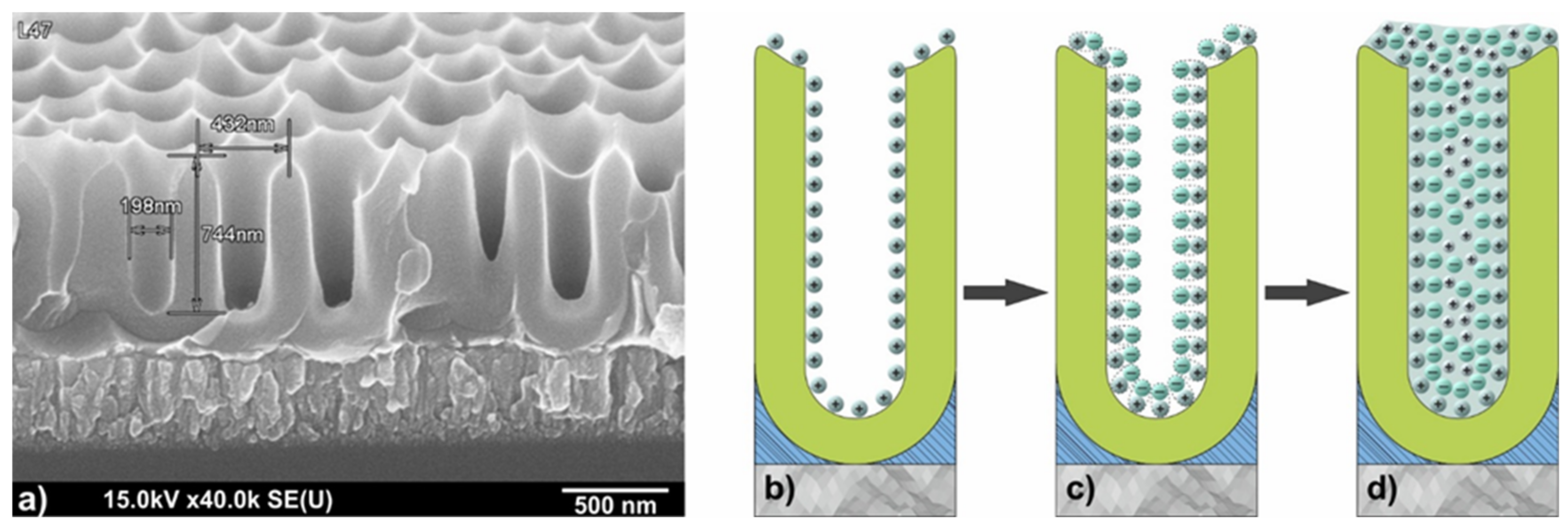 Sensors 21 04169 g001 Sensors 21 04169 g001