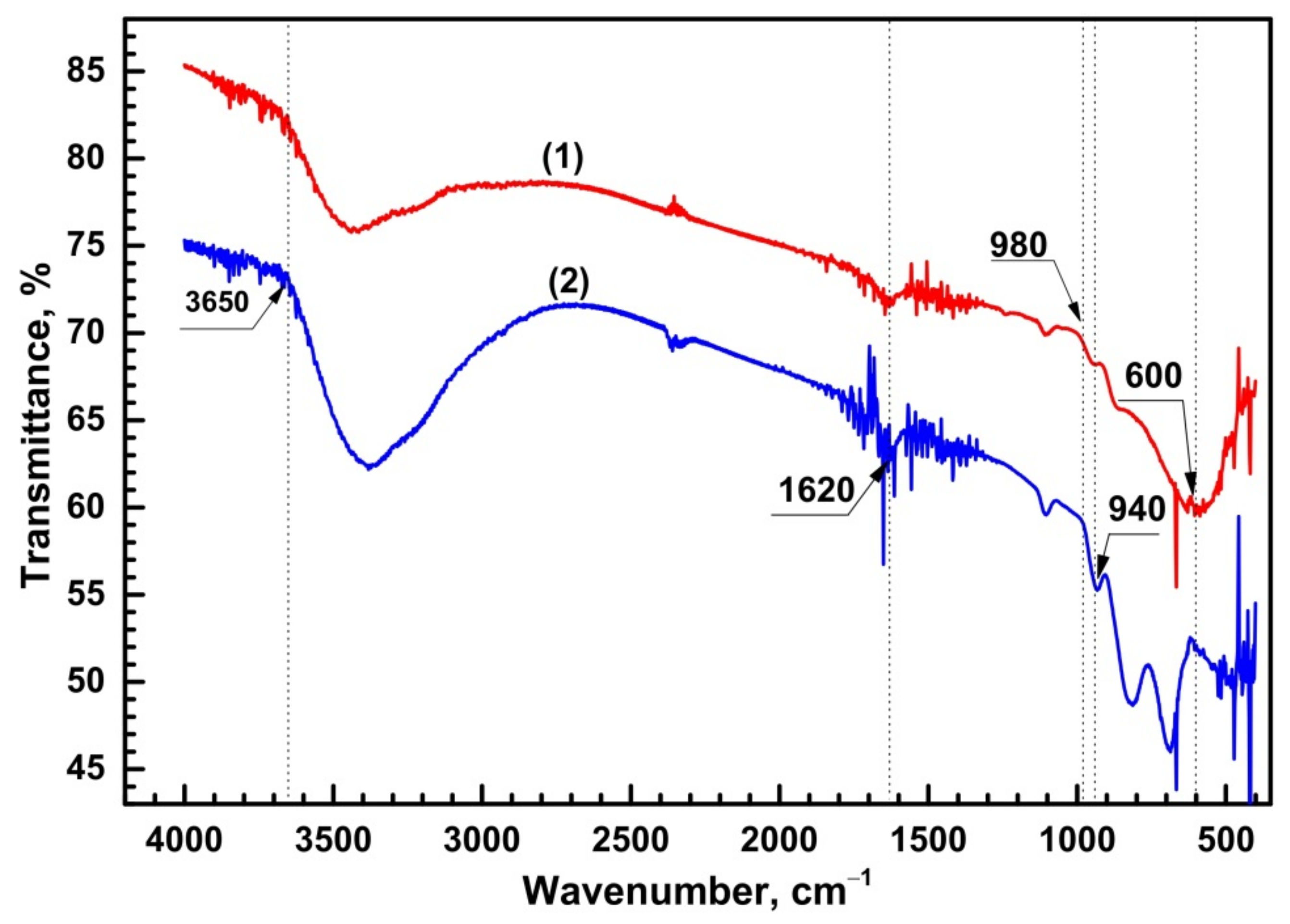 Sensors 21 04169 g004 Sensors 21 04169 g004