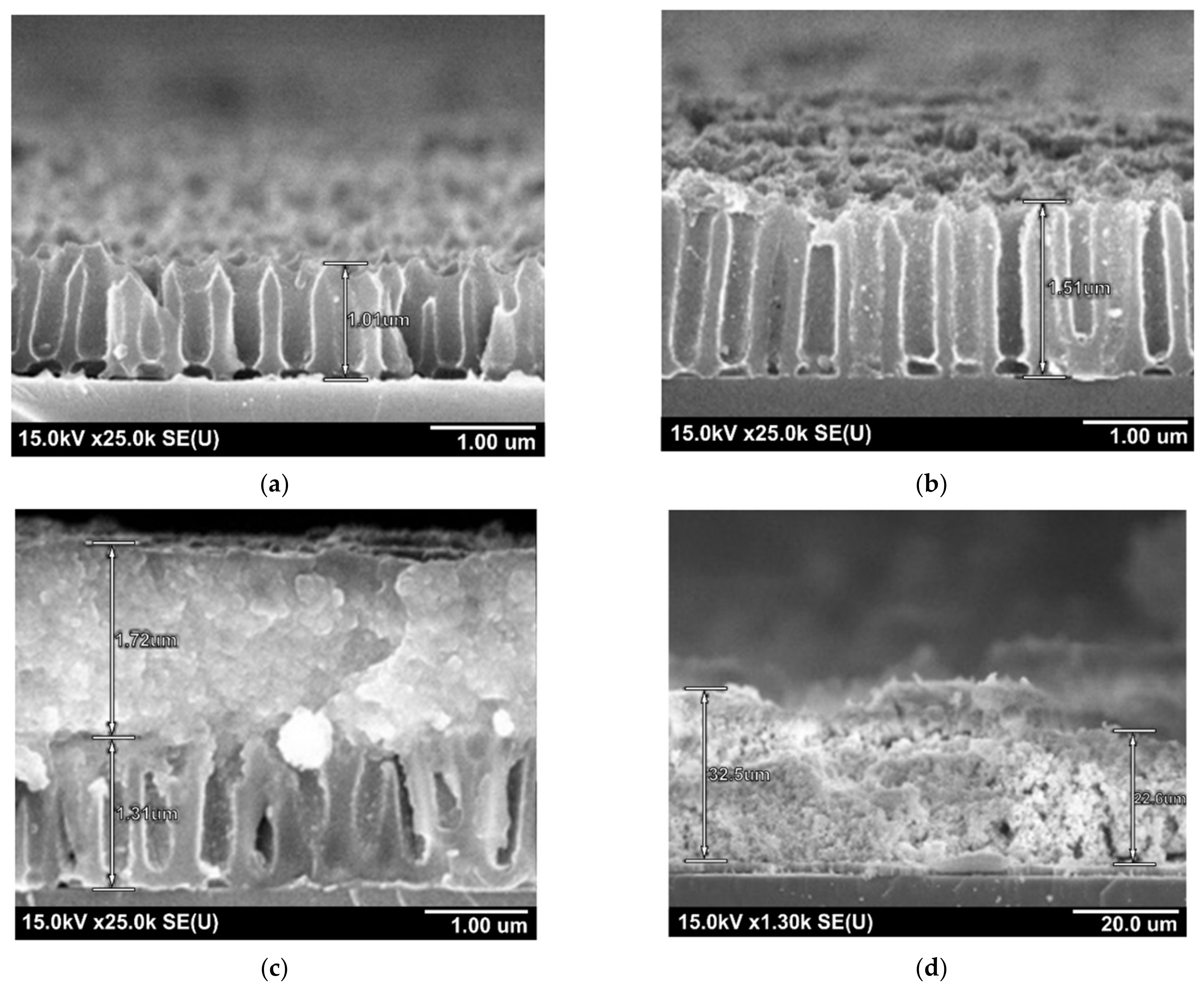 Sensors 21 04169 g005 Sensors 21 04169 g005