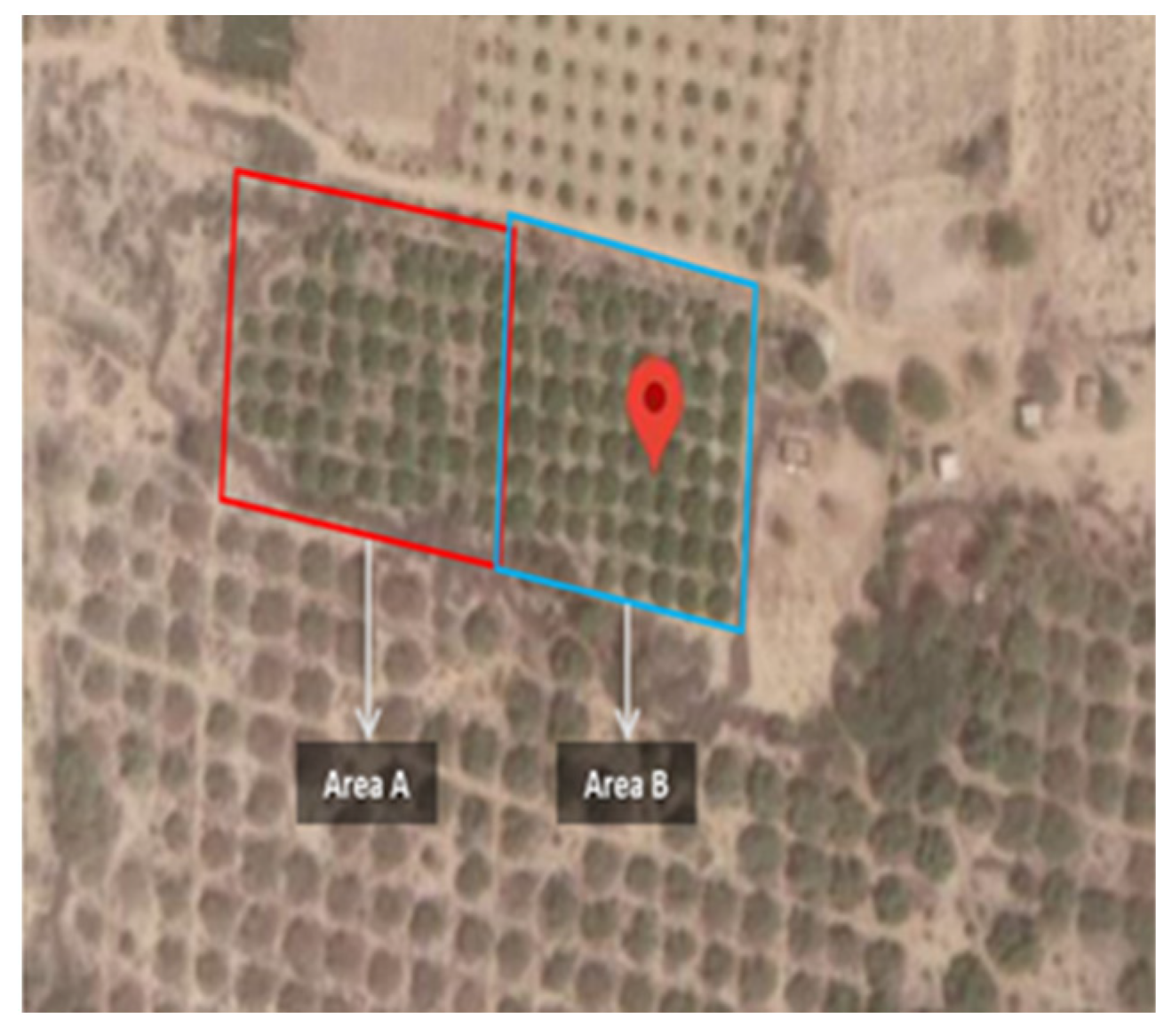 Sensors 21 04175 g001 Sensors 21 04175 g001