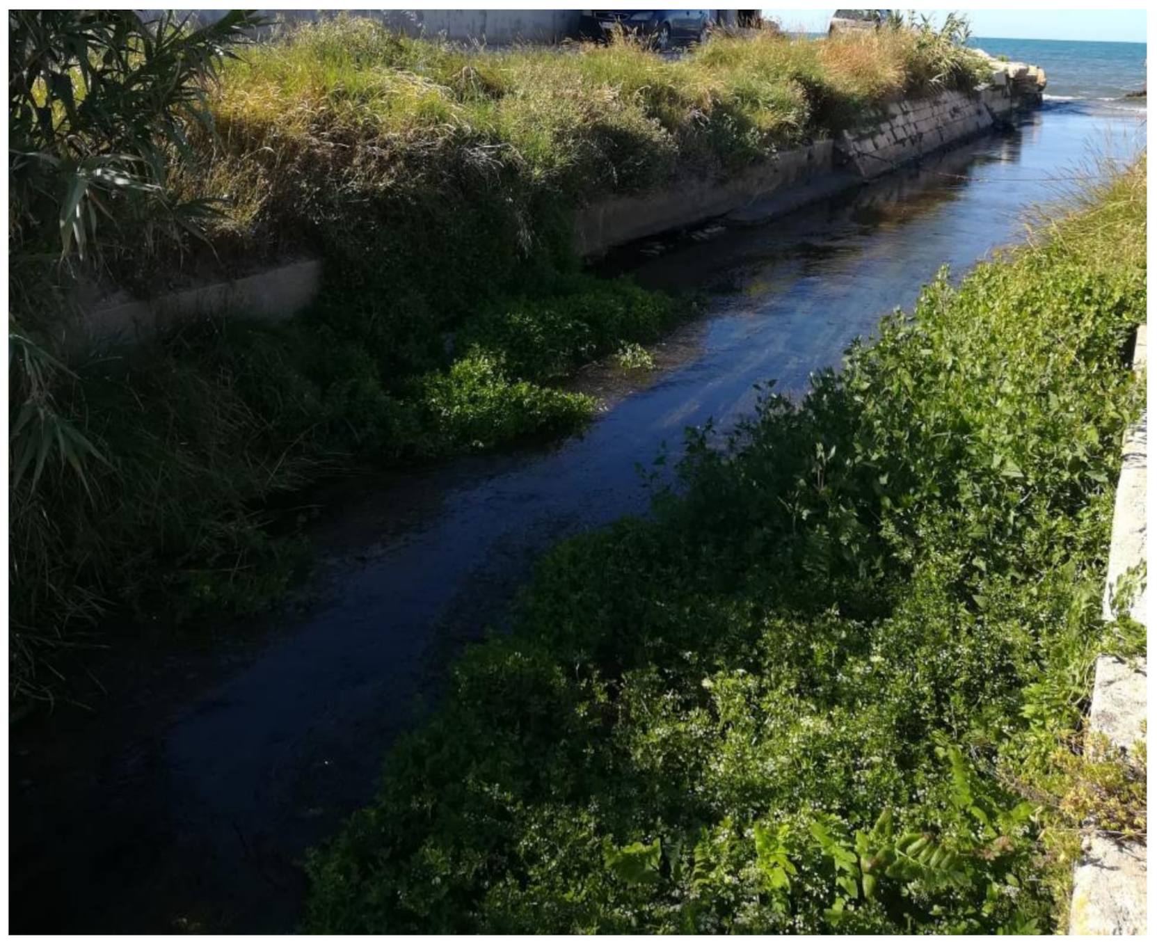 Sensors 21 04197 g006