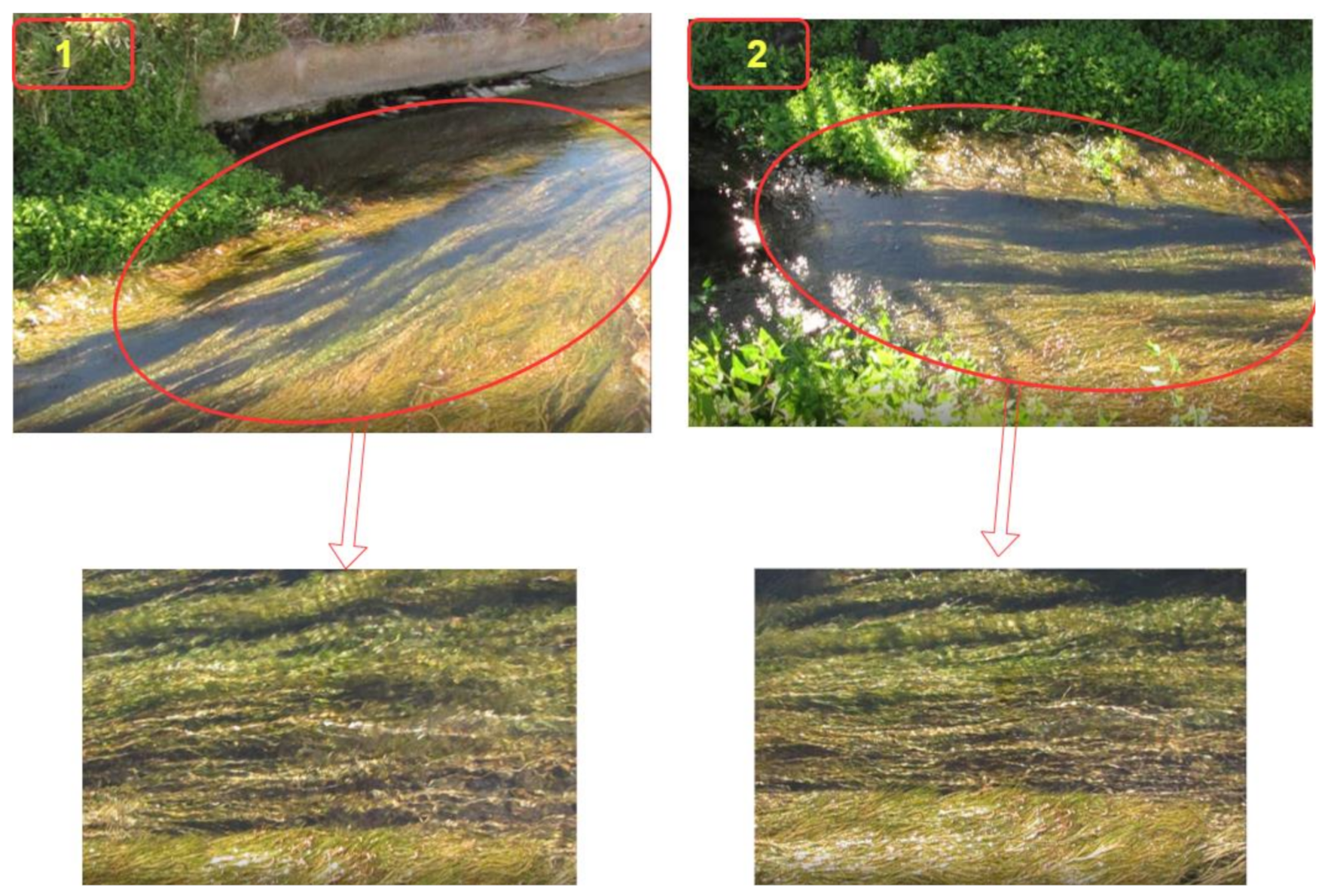 Sensors 21 04197 g010