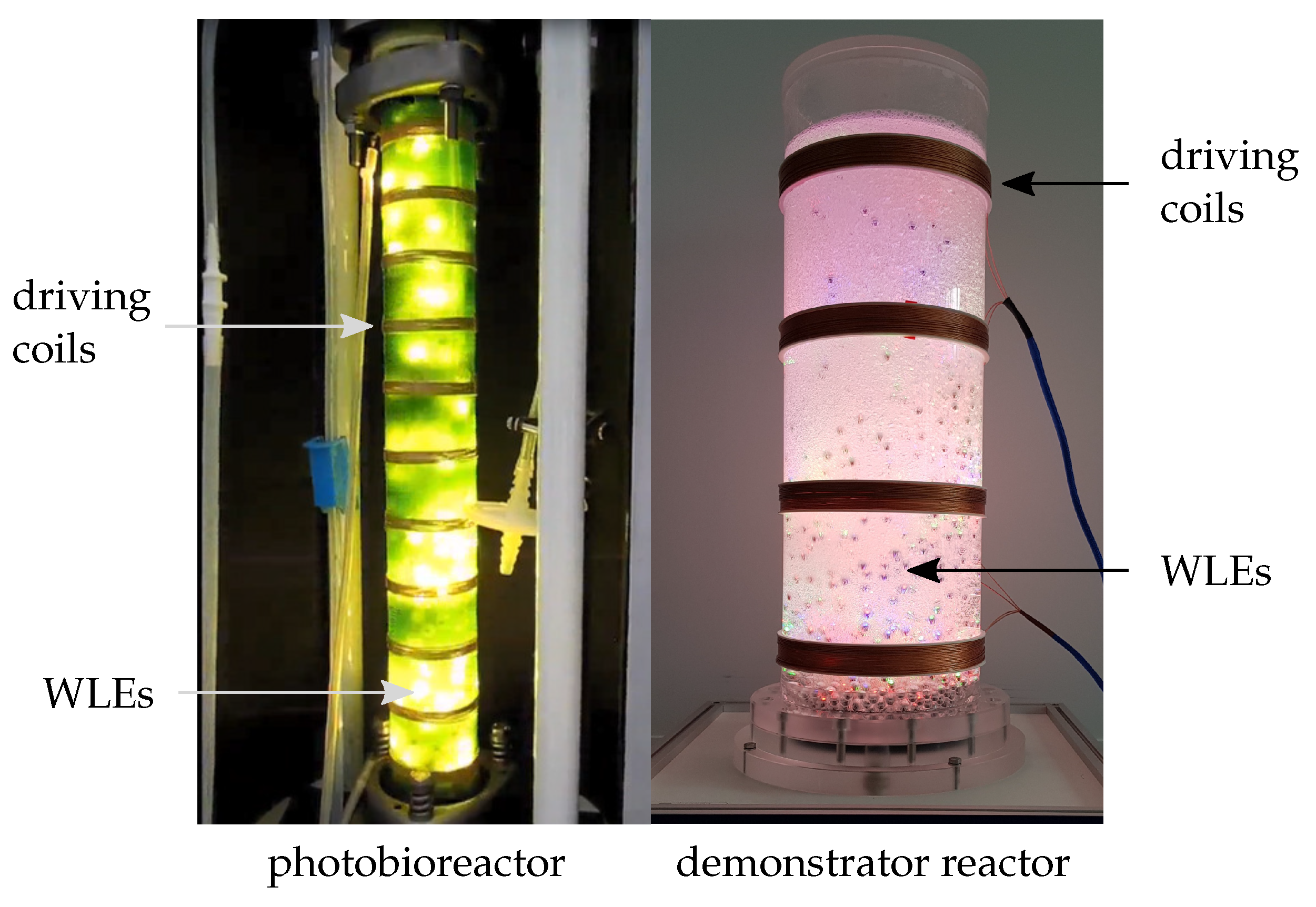 Sensors 21 04201 g001 Sensors 21 04201 g001
