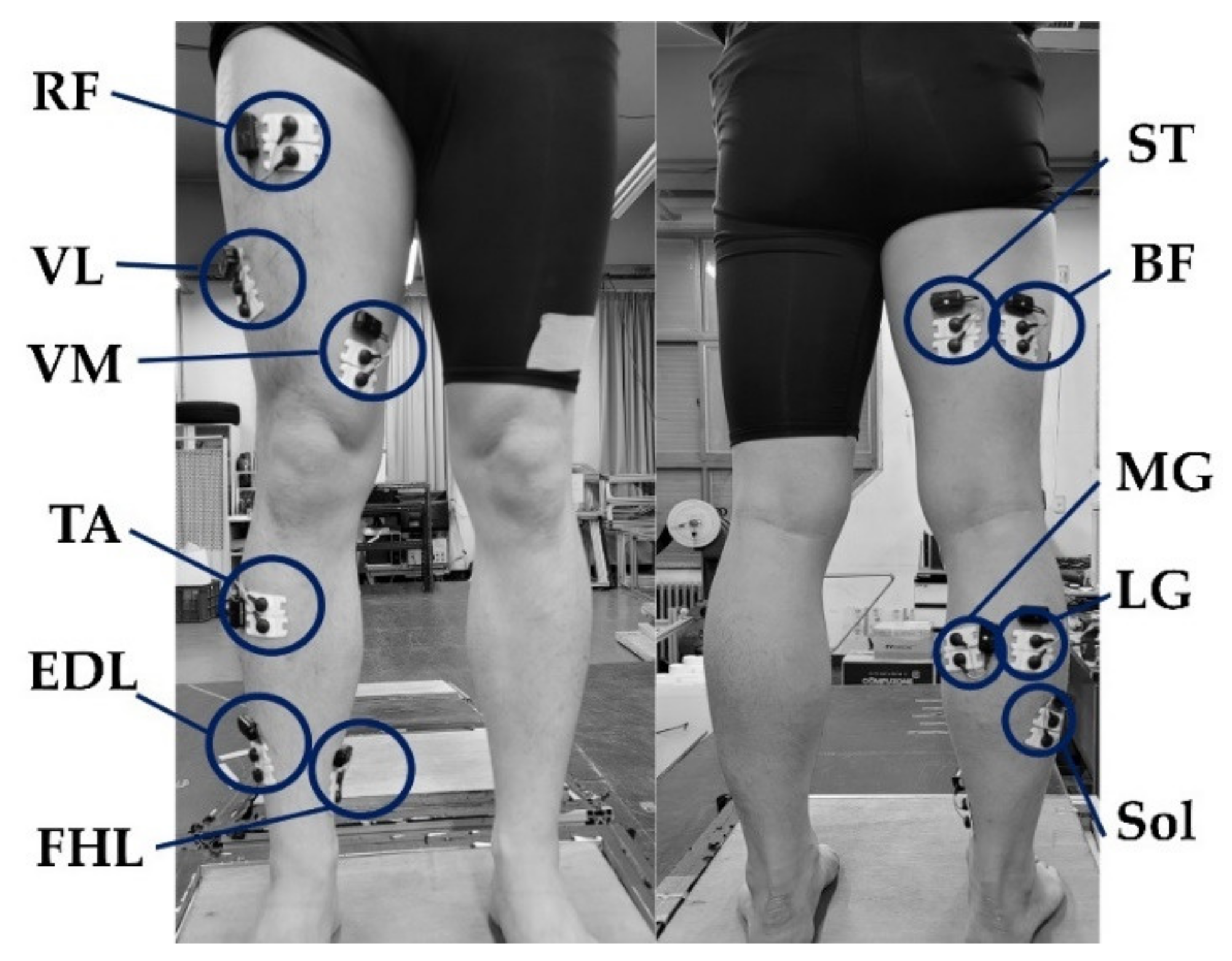 Sensors 21 04204 g002