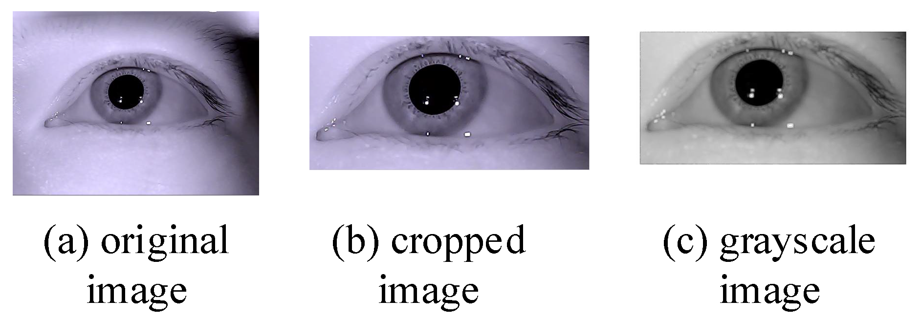 Sensors 21 04209 g002