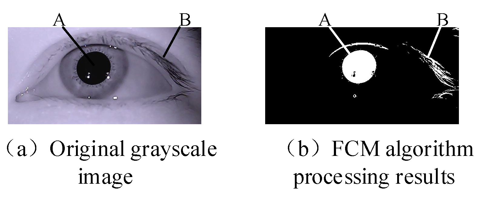 Sensors 21 04209 g003