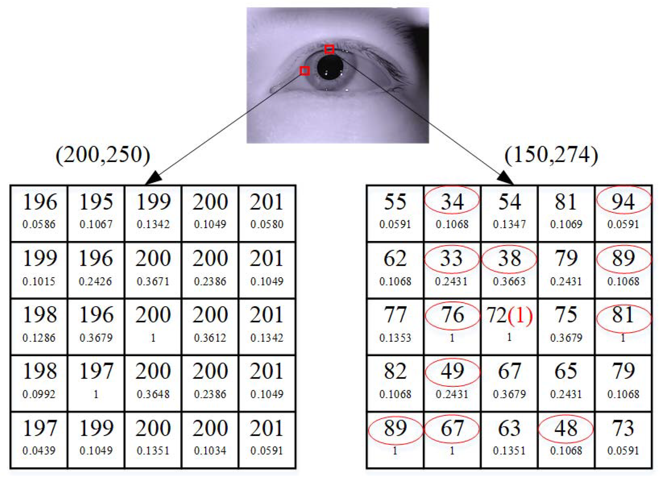 Sensors 21 04209 g006