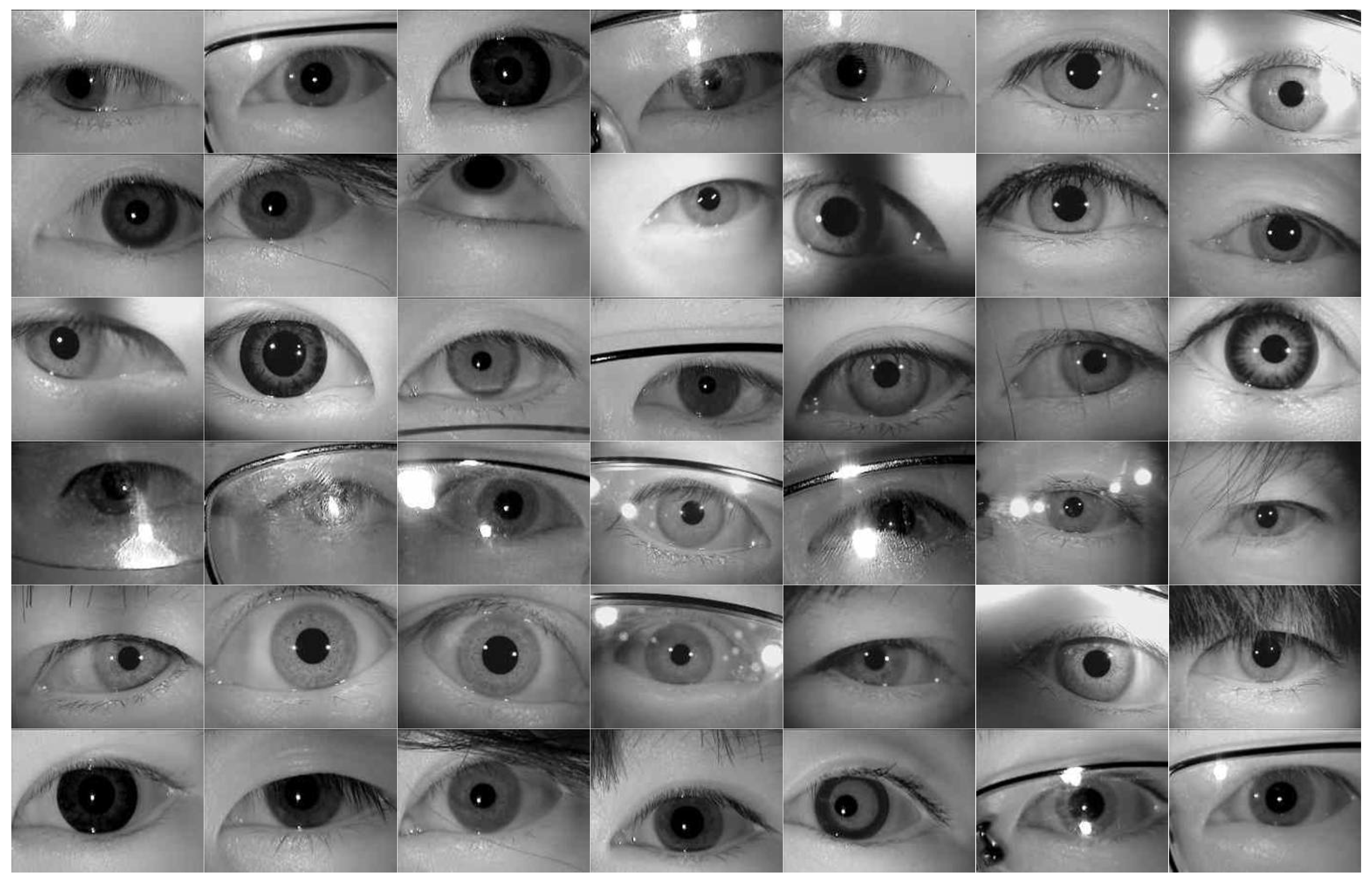 Sensors 21 04209 g008