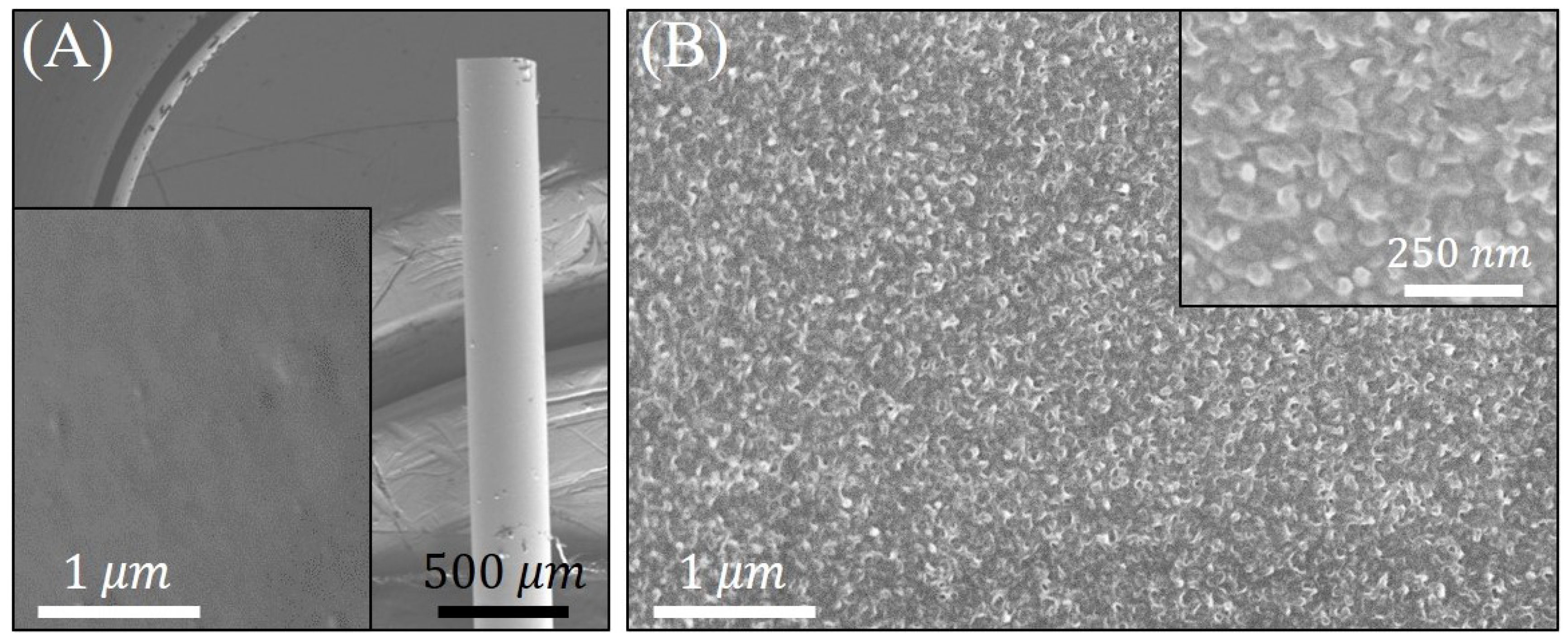 Sensors 21 04218 g004