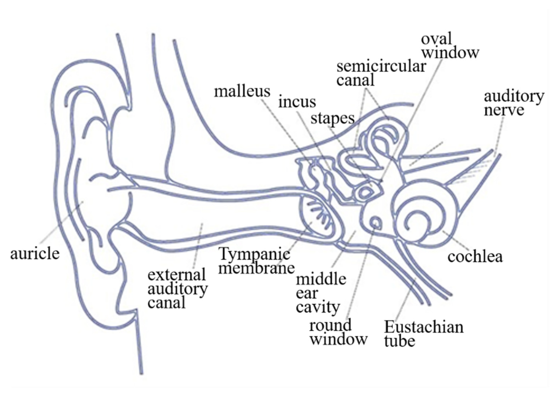 Sensors 21 04229 g001 Sensors 21 04229 g001