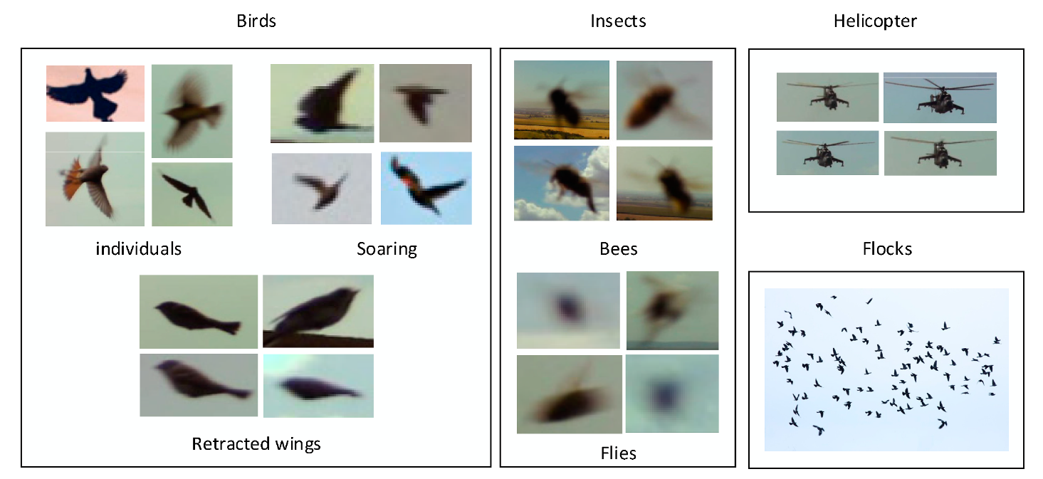 Sensors 21 04244 g008