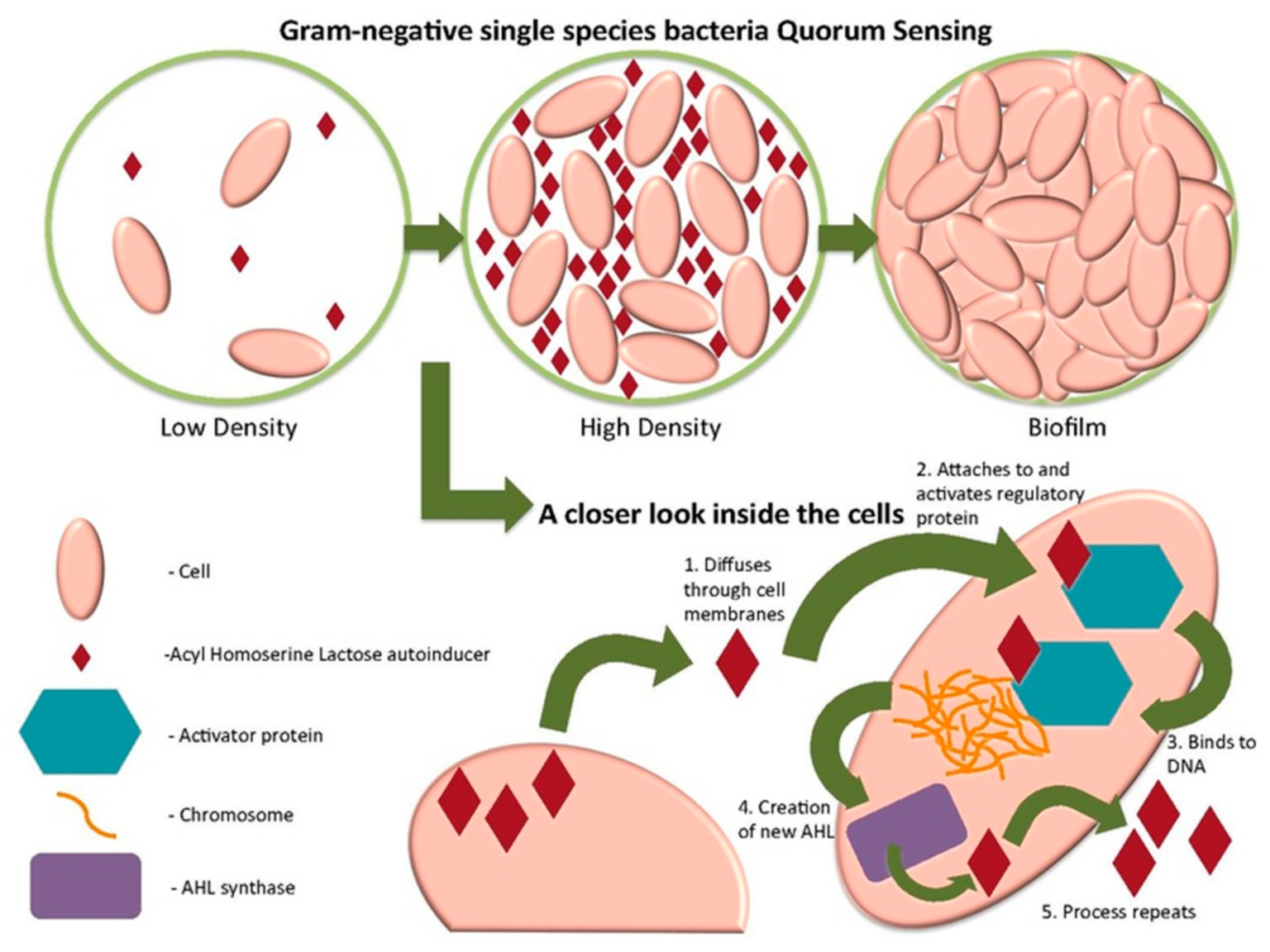 Sensors 21 04300 g025