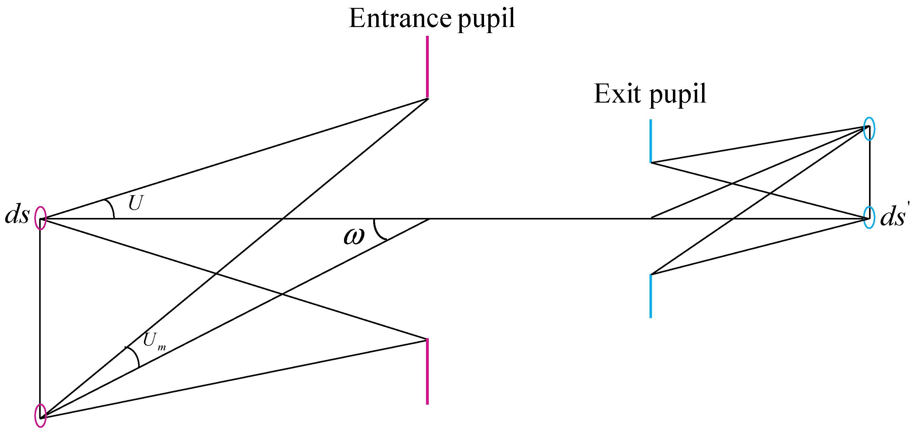 Sensors 21 04313 g005