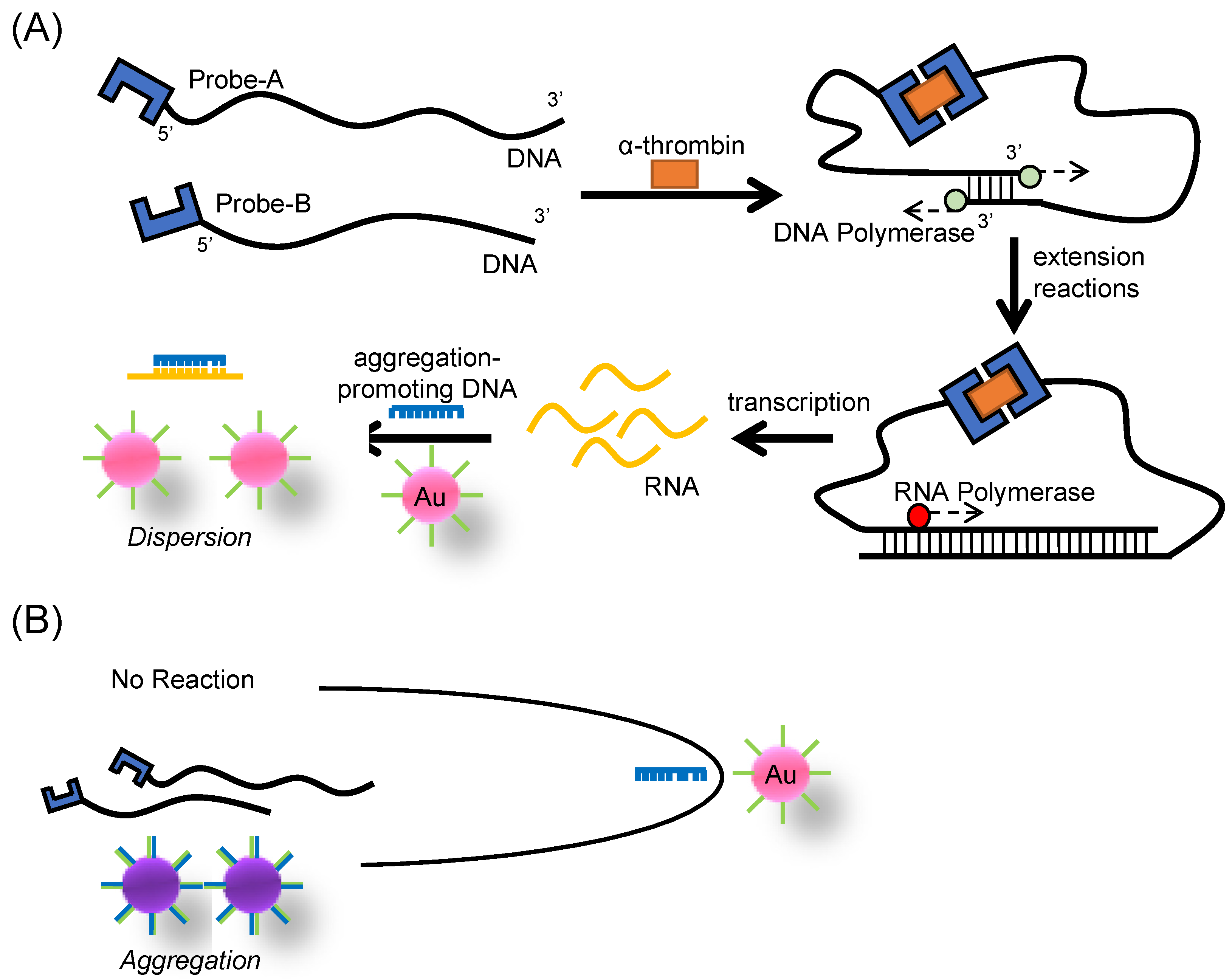 Sensors 21 04318 sch001
