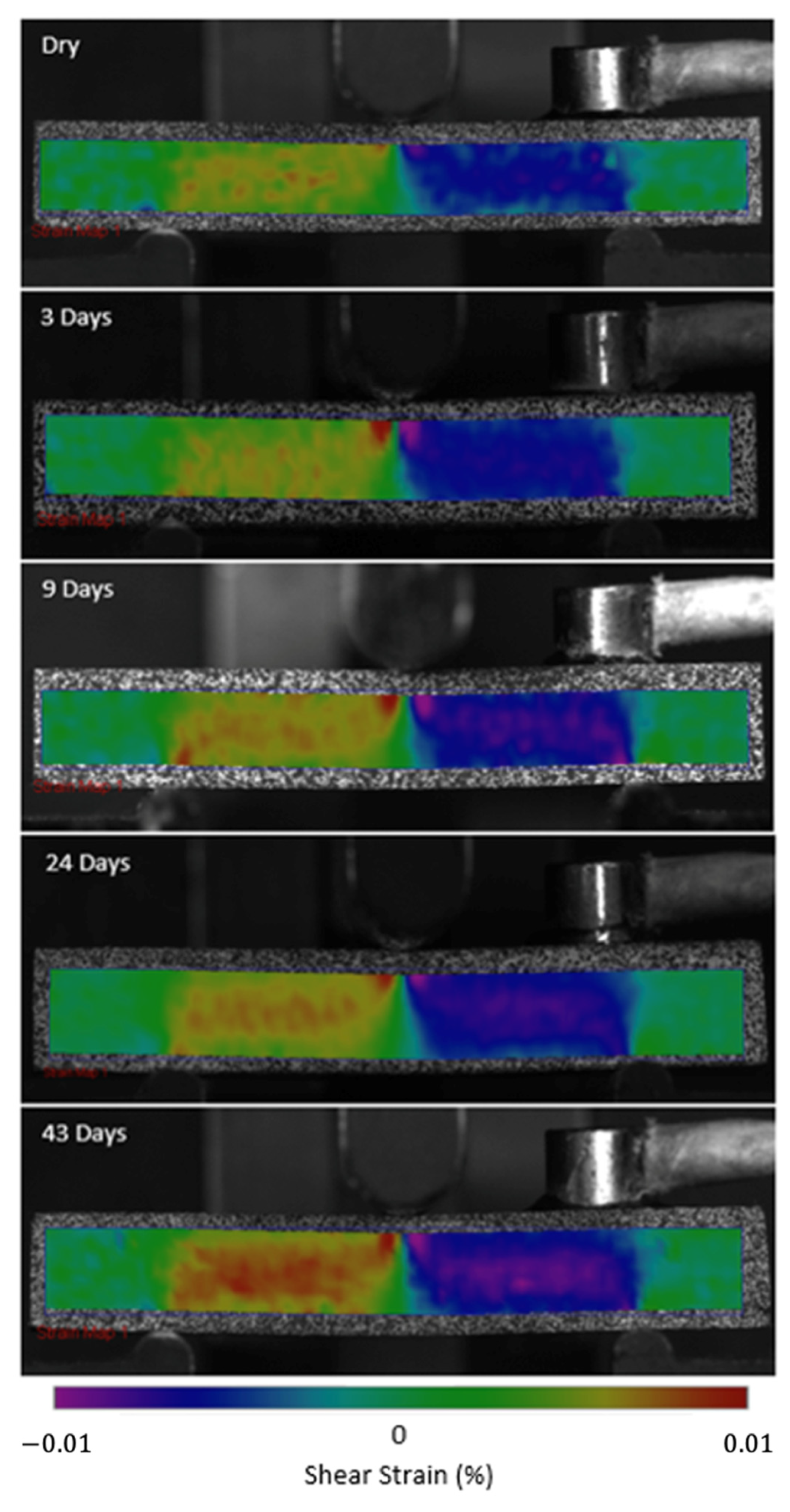 Sensors 21 04351 g005