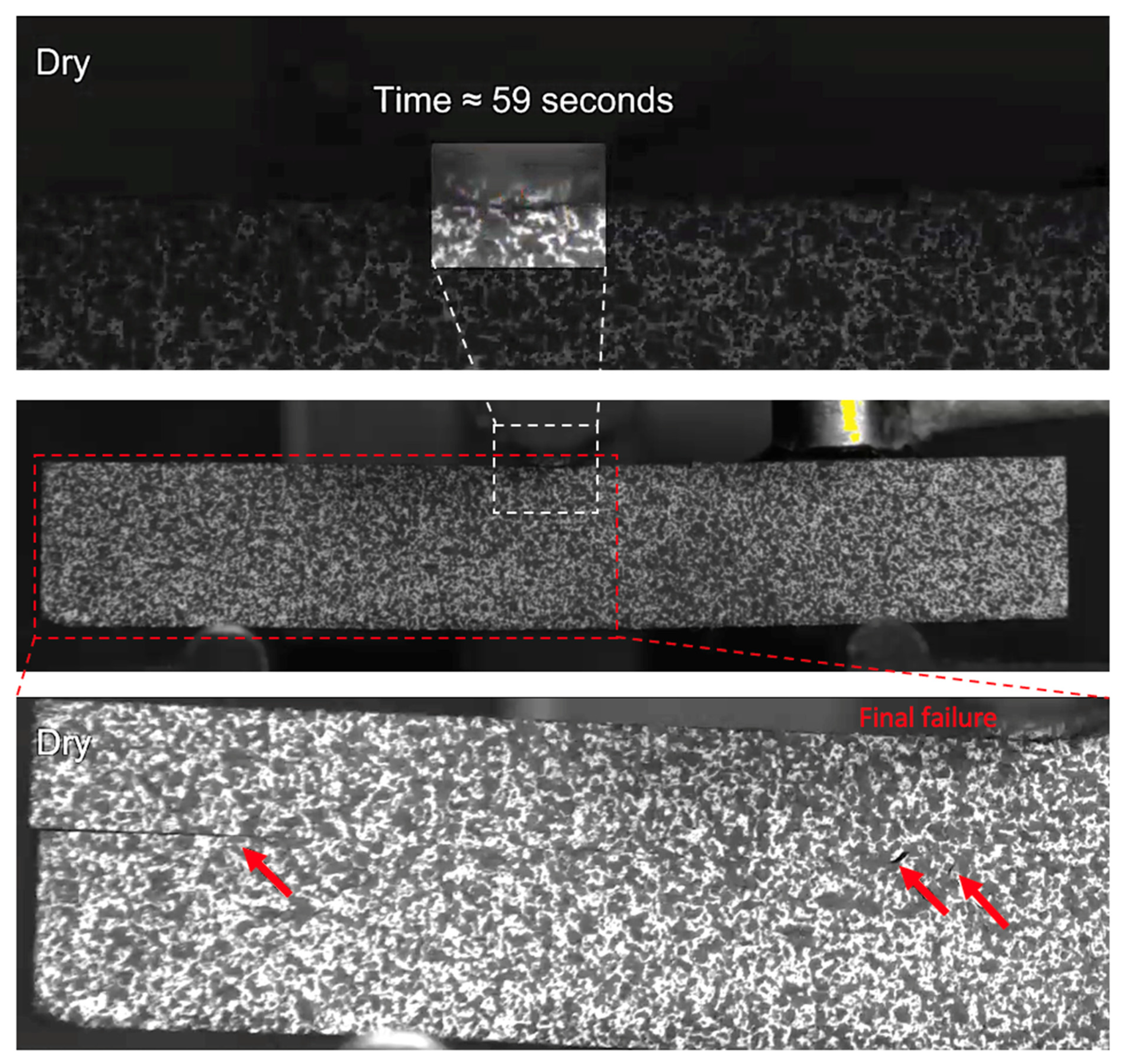 Sensors 21 04351 g010