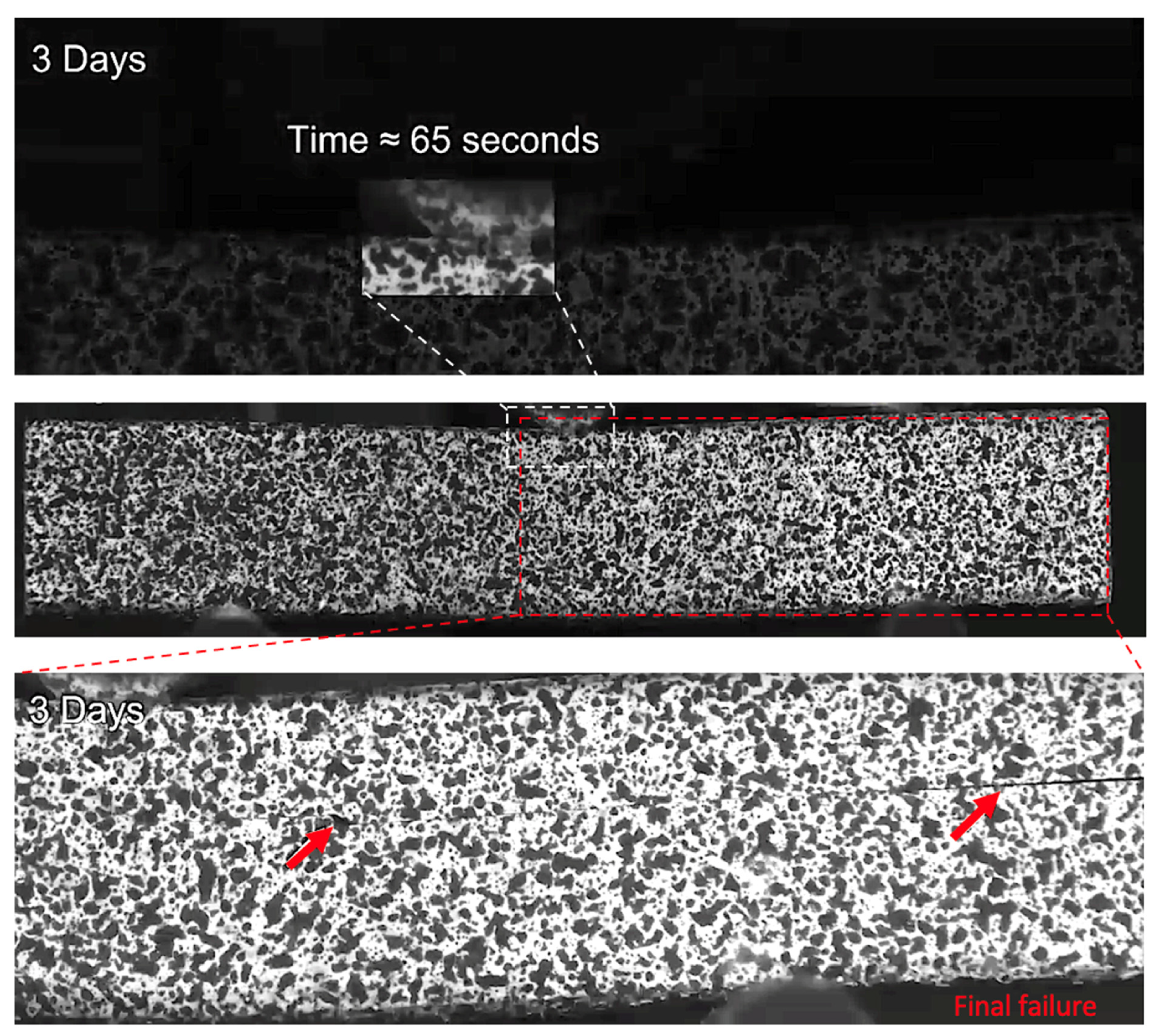 Sensors 21 04351 g012