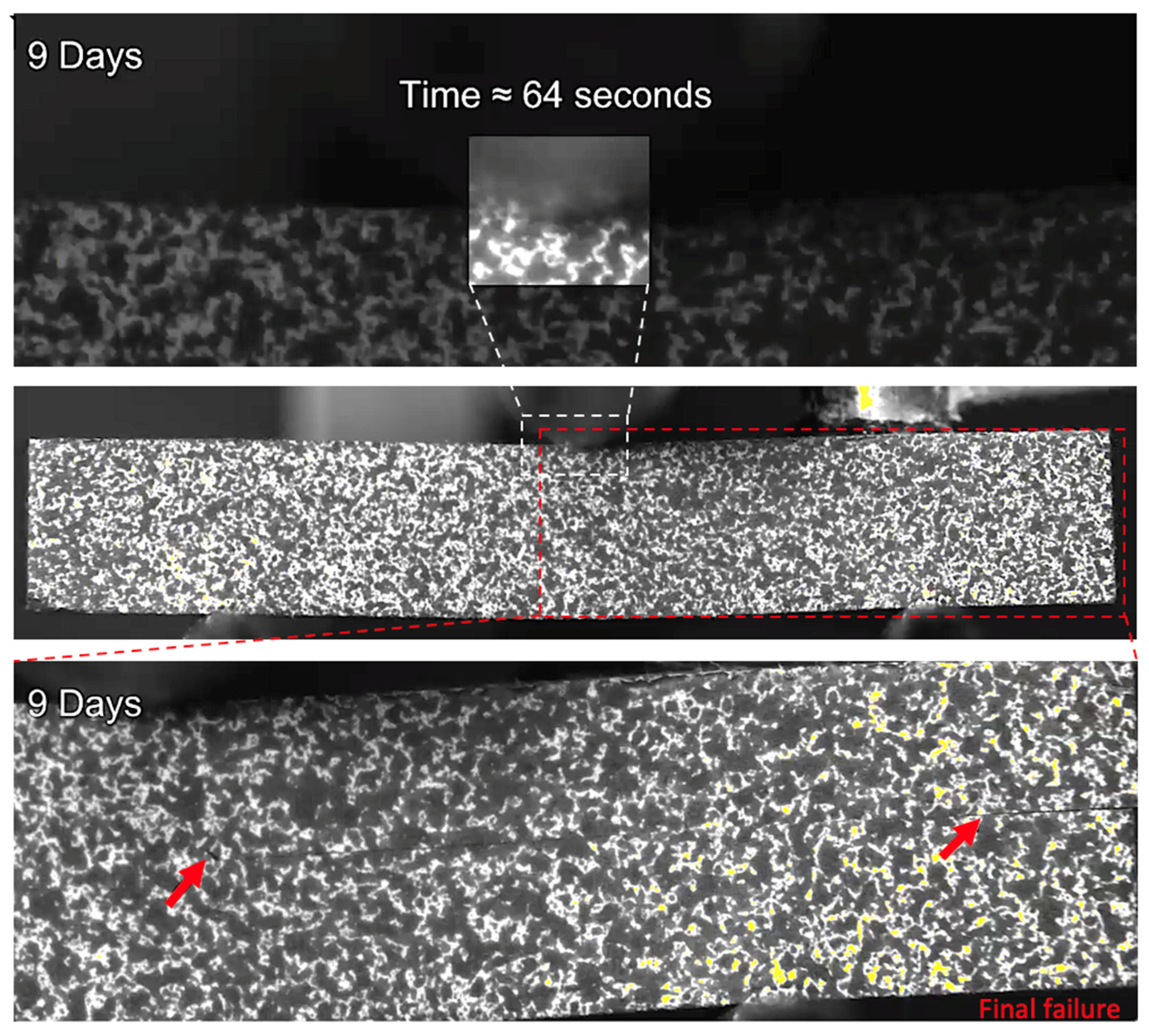 Sensors 21 04351 g013