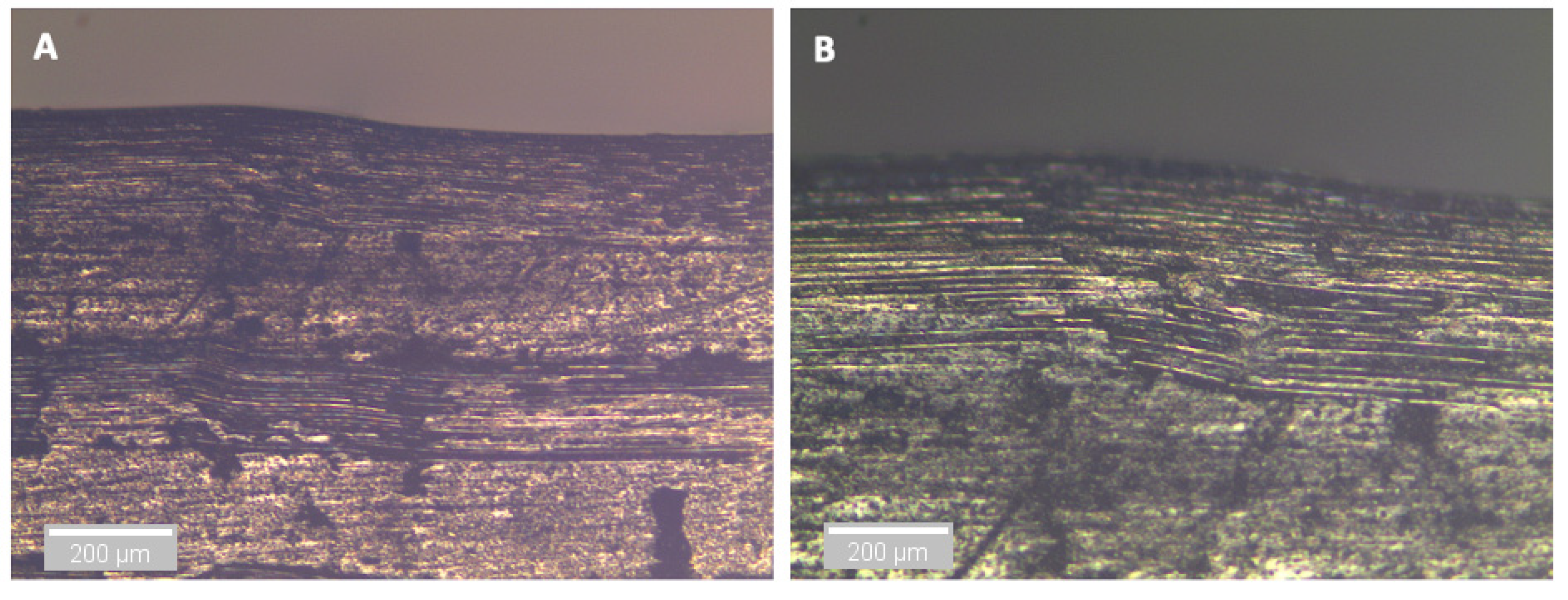 Sensors 21 04351 g014