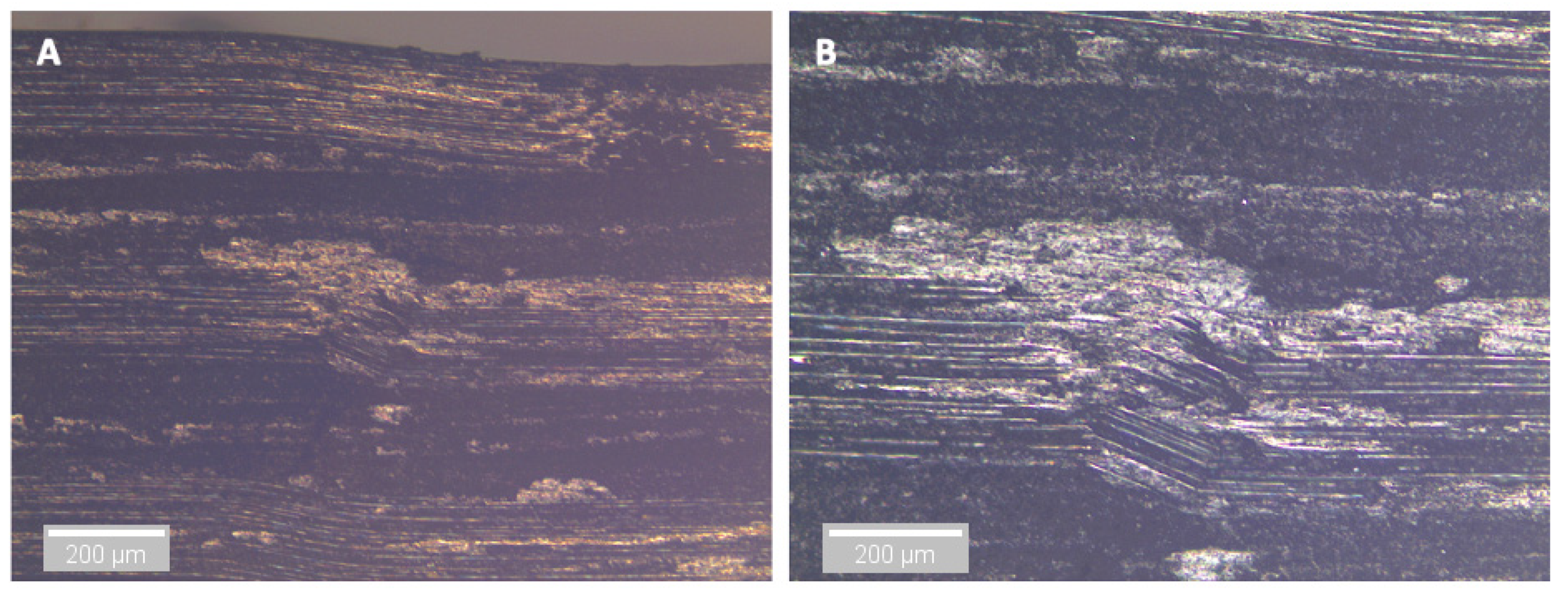 Sensors 21 04351 g015