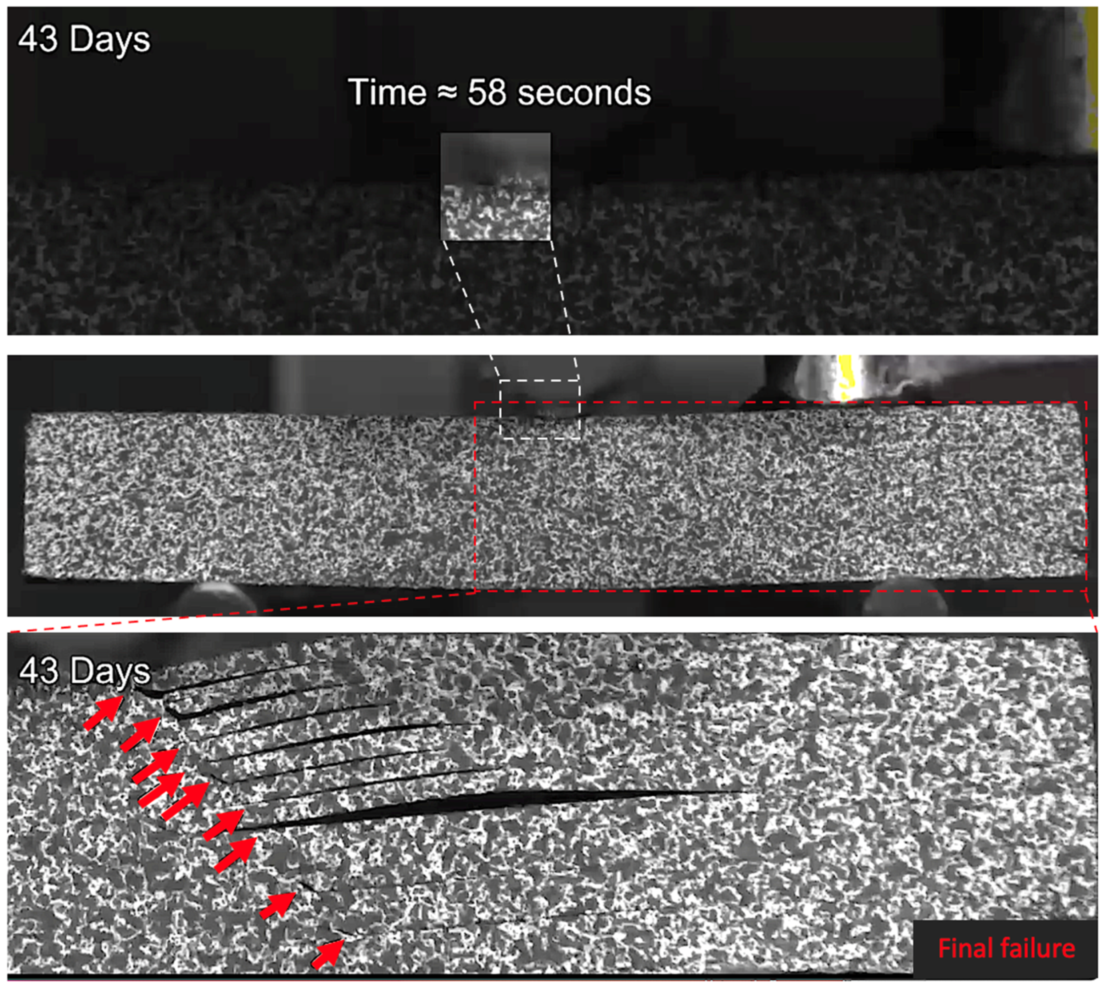 Sensors 21 04351 g017