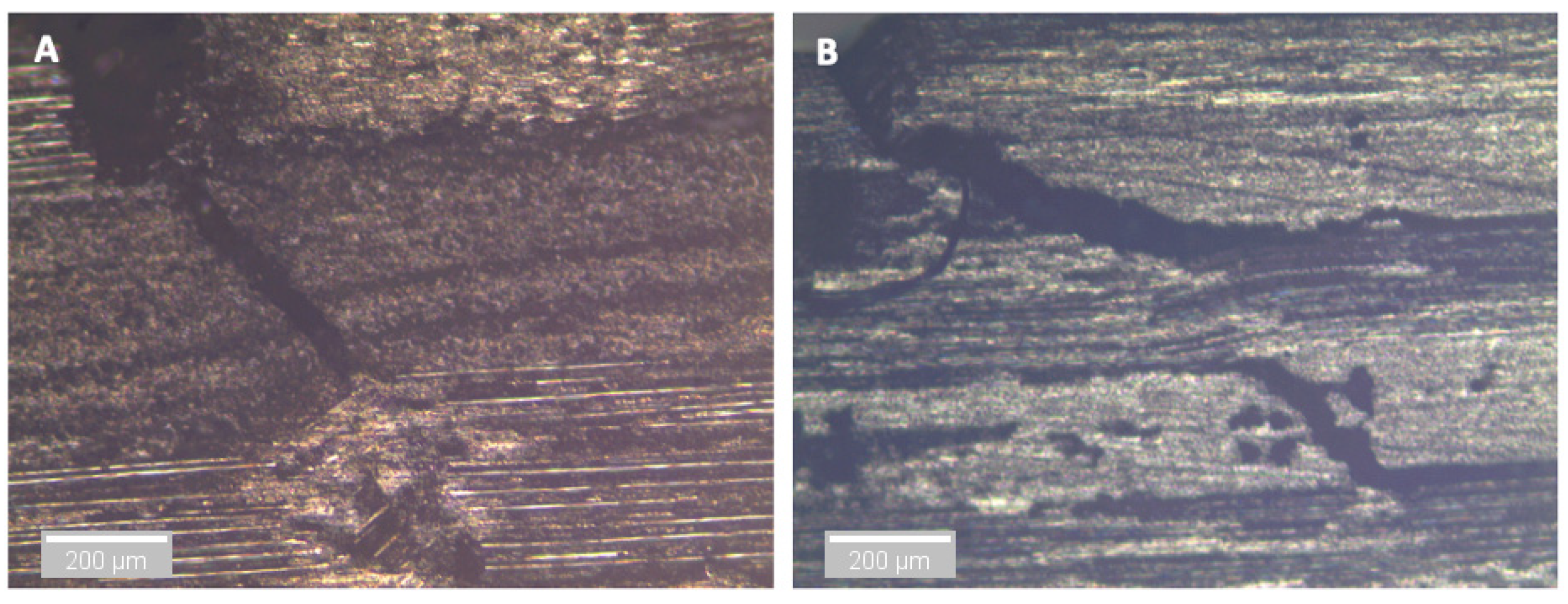 Sensors 21 04351 g018
