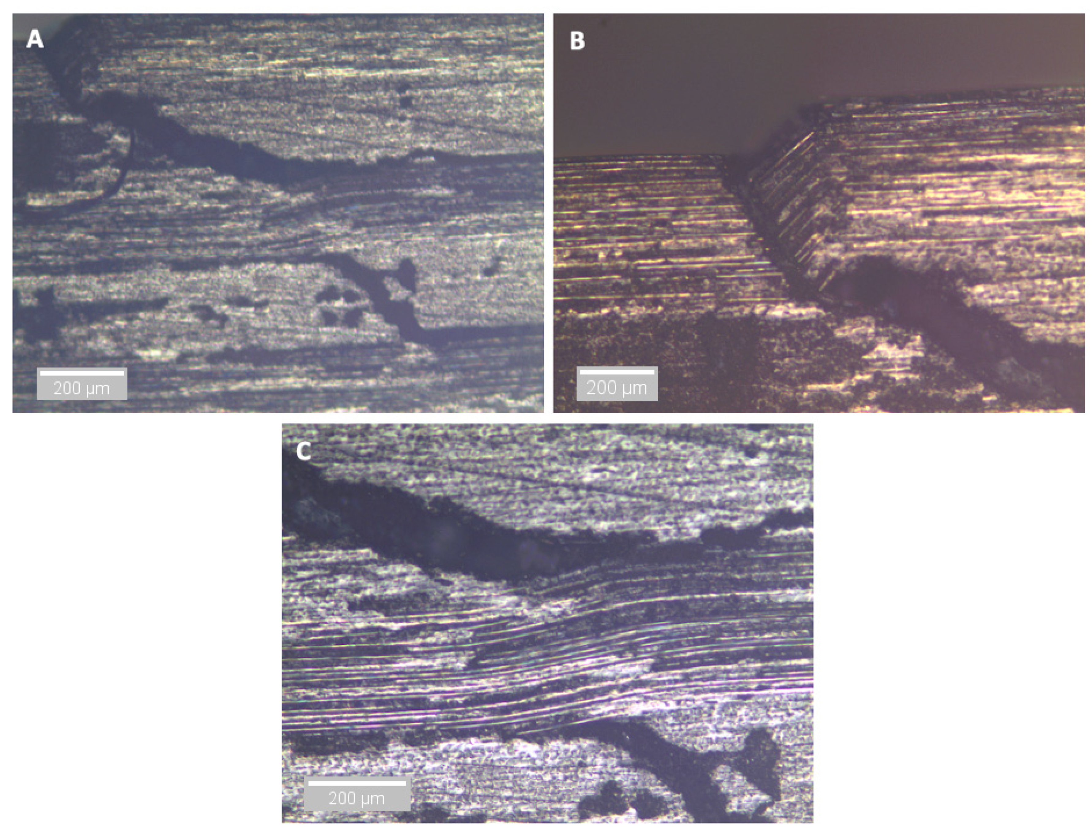 Sensors 21 04351 g019