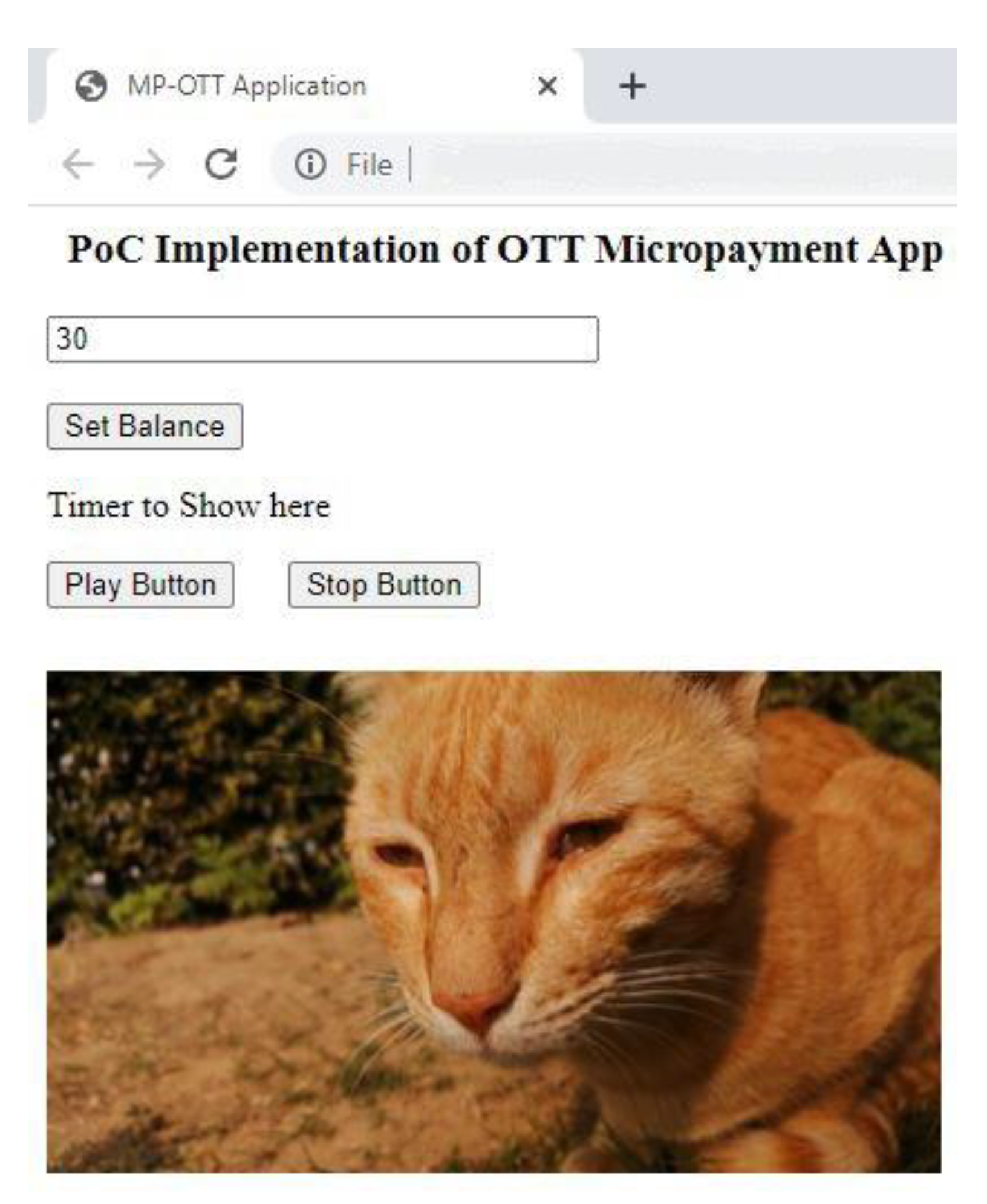 Sensors 21 04354 g017
