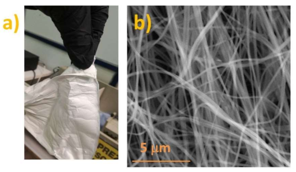 Sensors 21 04357 g001