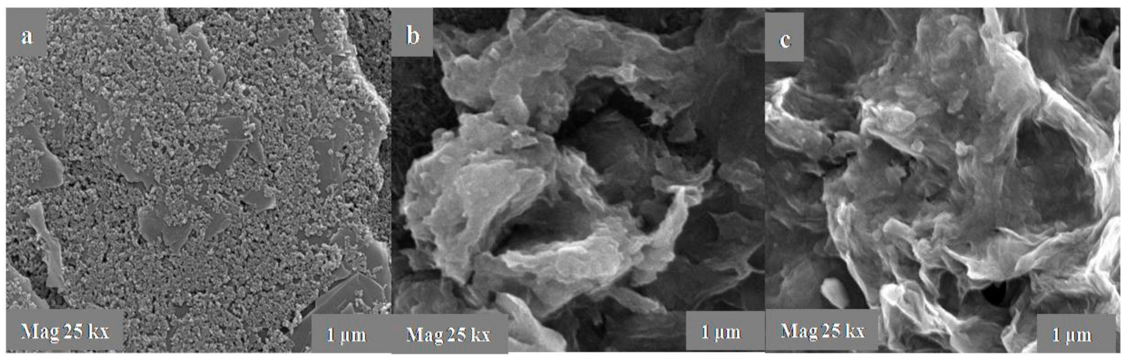 Sensors 21 04366 g002