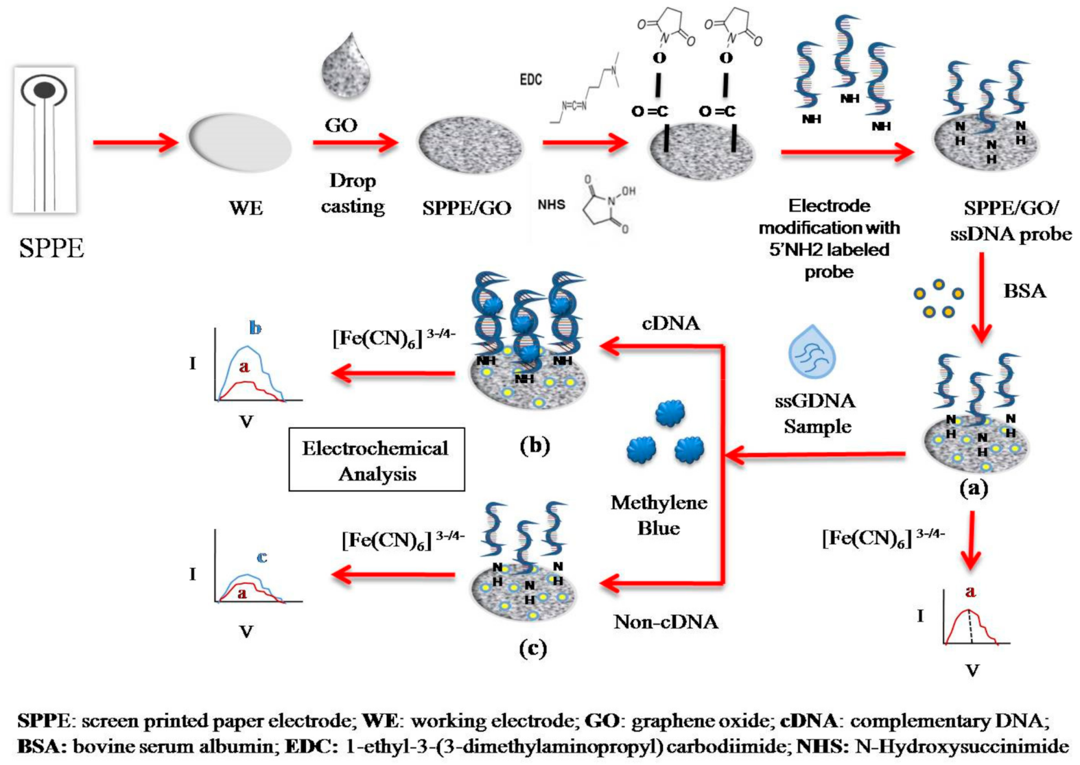 Sensors 21 04366 sch001