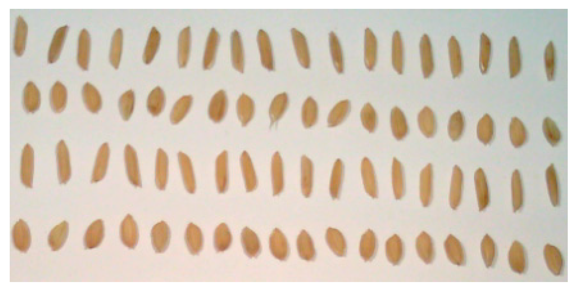 Sensors 21 04384 g002